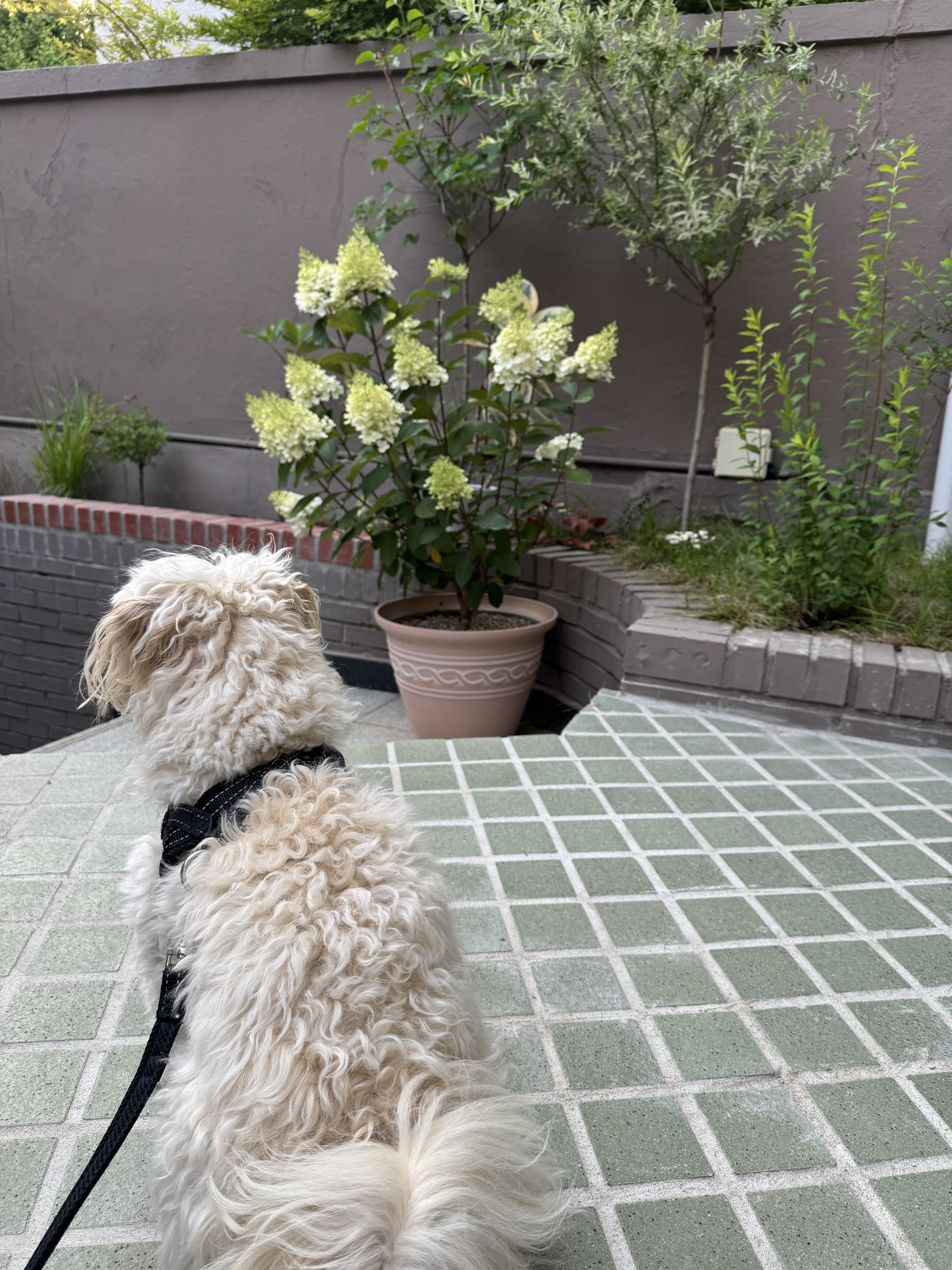 은퇴한수의사의저택 대표 이미지