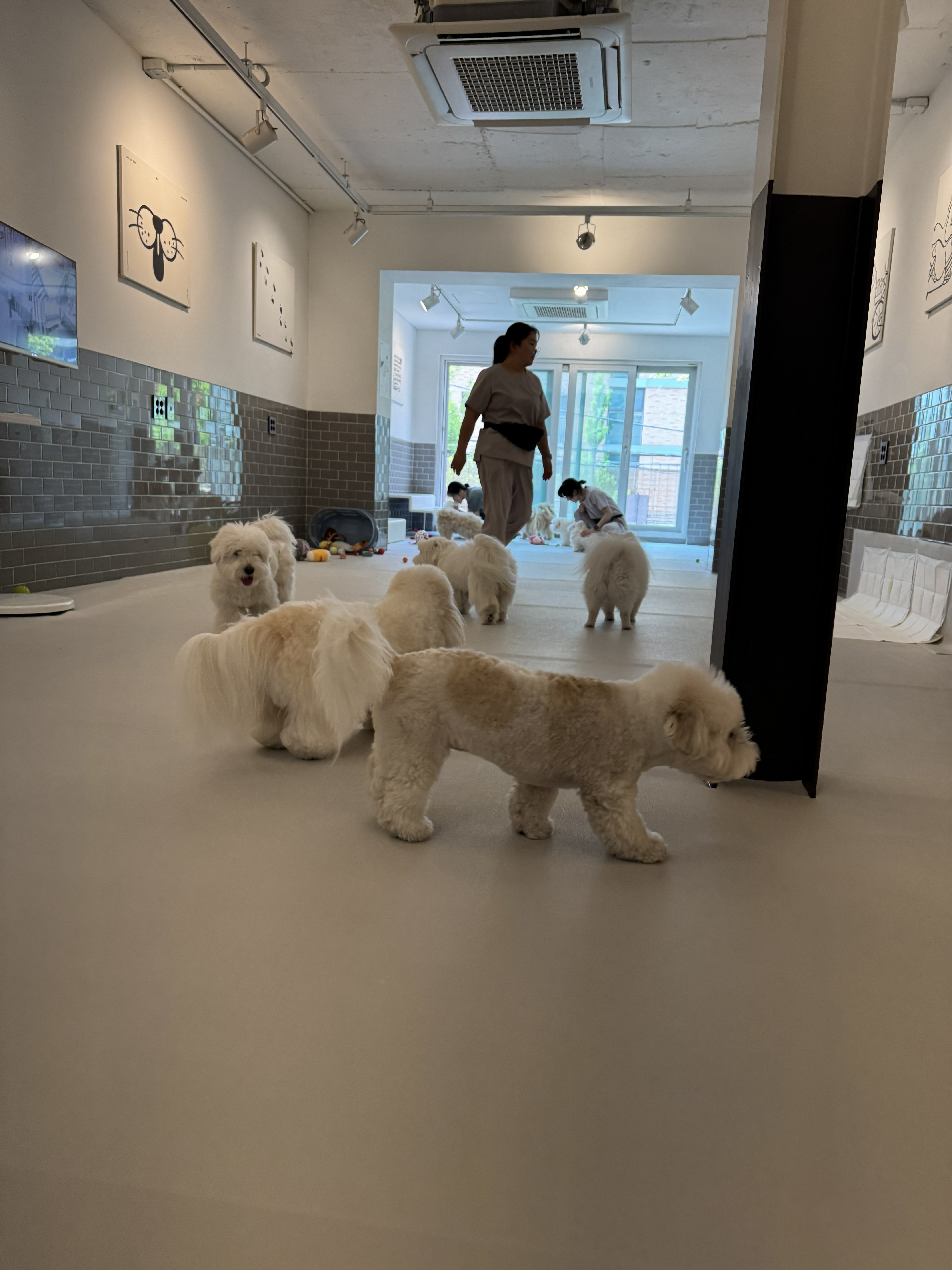 은퇴한수의사의저택 전경