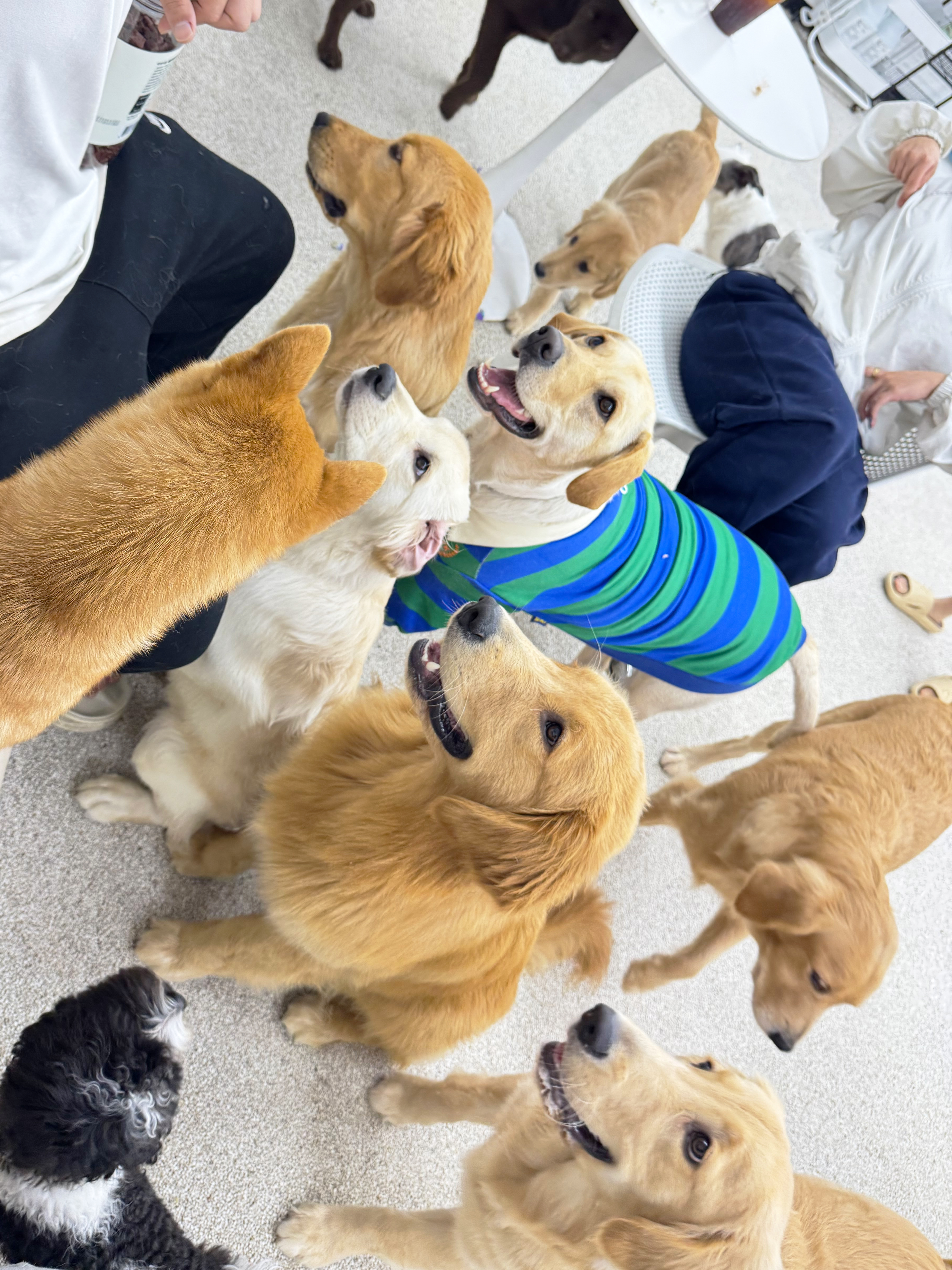 사진 2