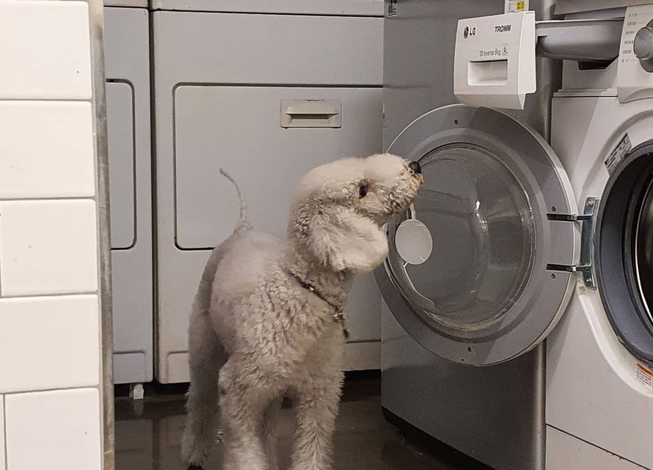 은퇴한수의사의저택 대표 이미지