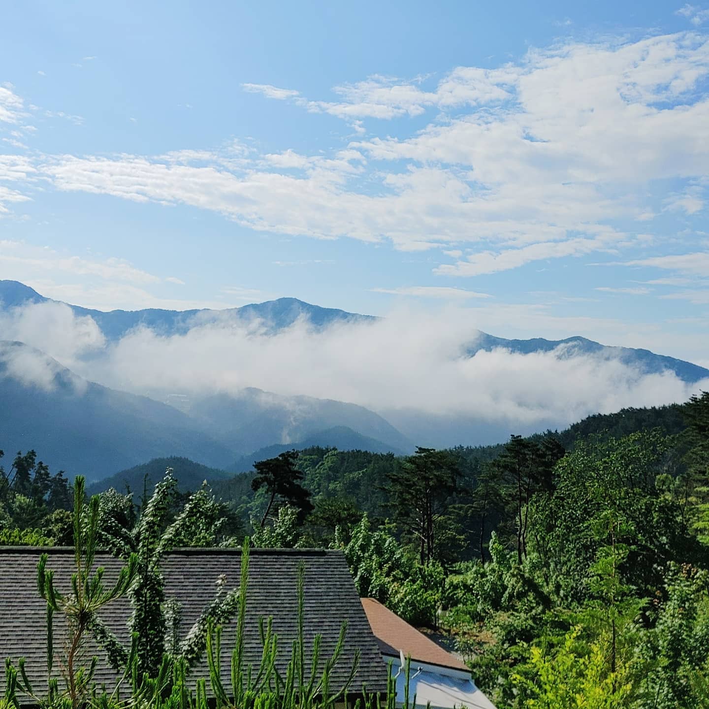 숲속애캠핑장 경상 애견숙소