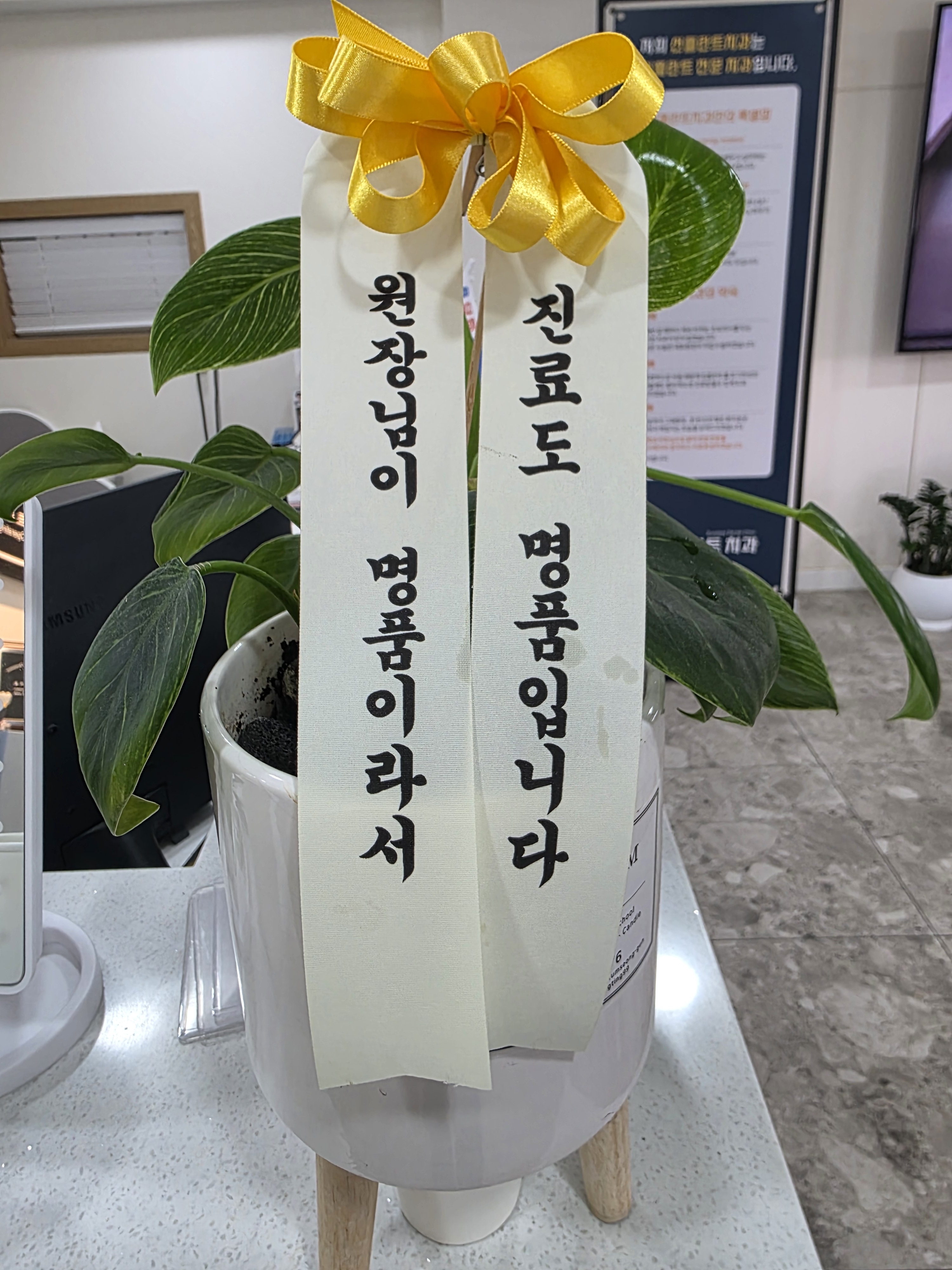 선플란트치과 대표 이미지