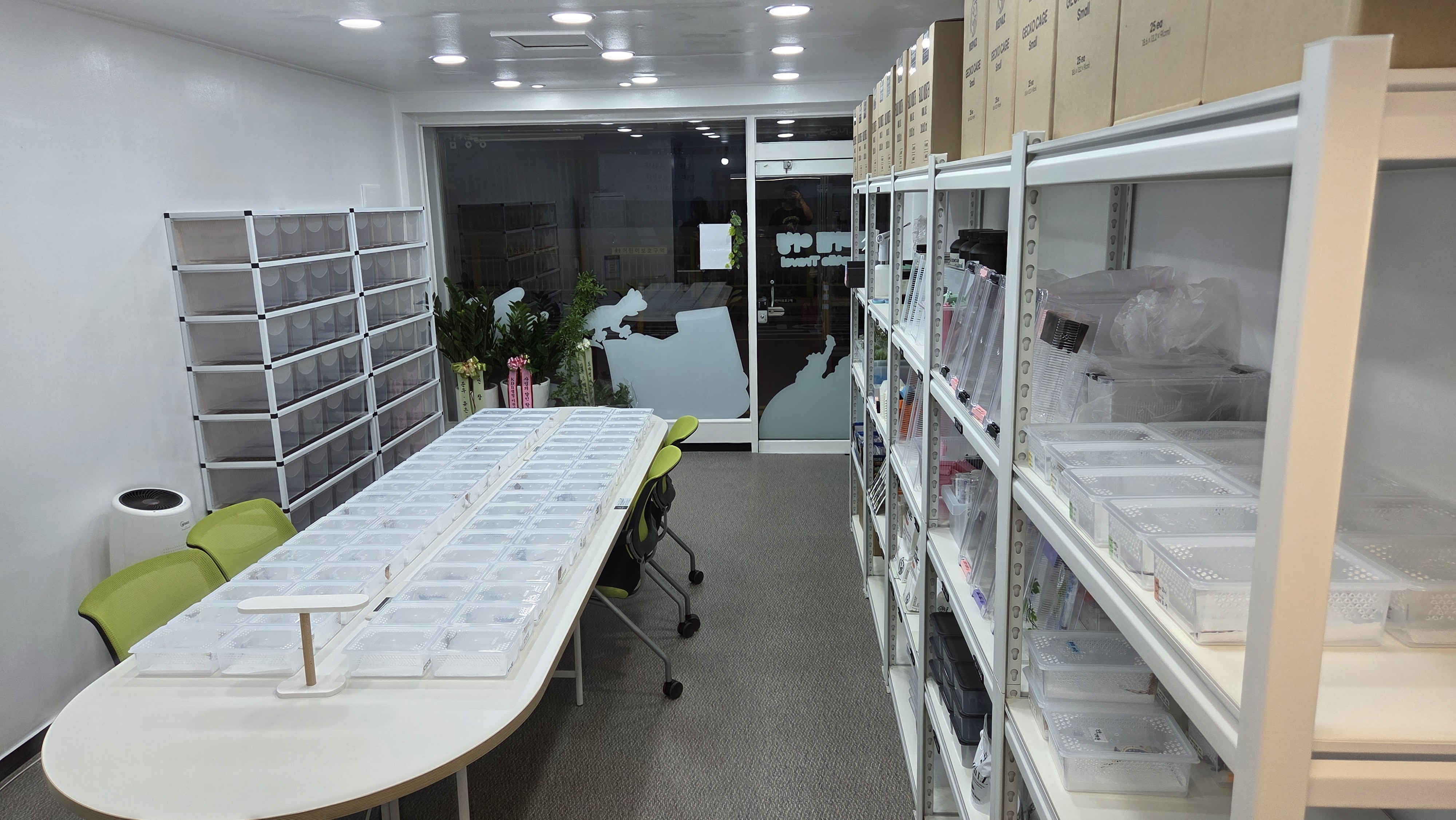 도마뱀여행 대표 이미지