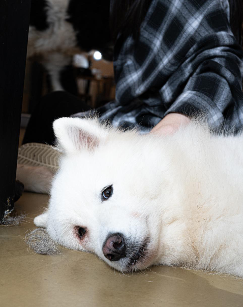오시개 2