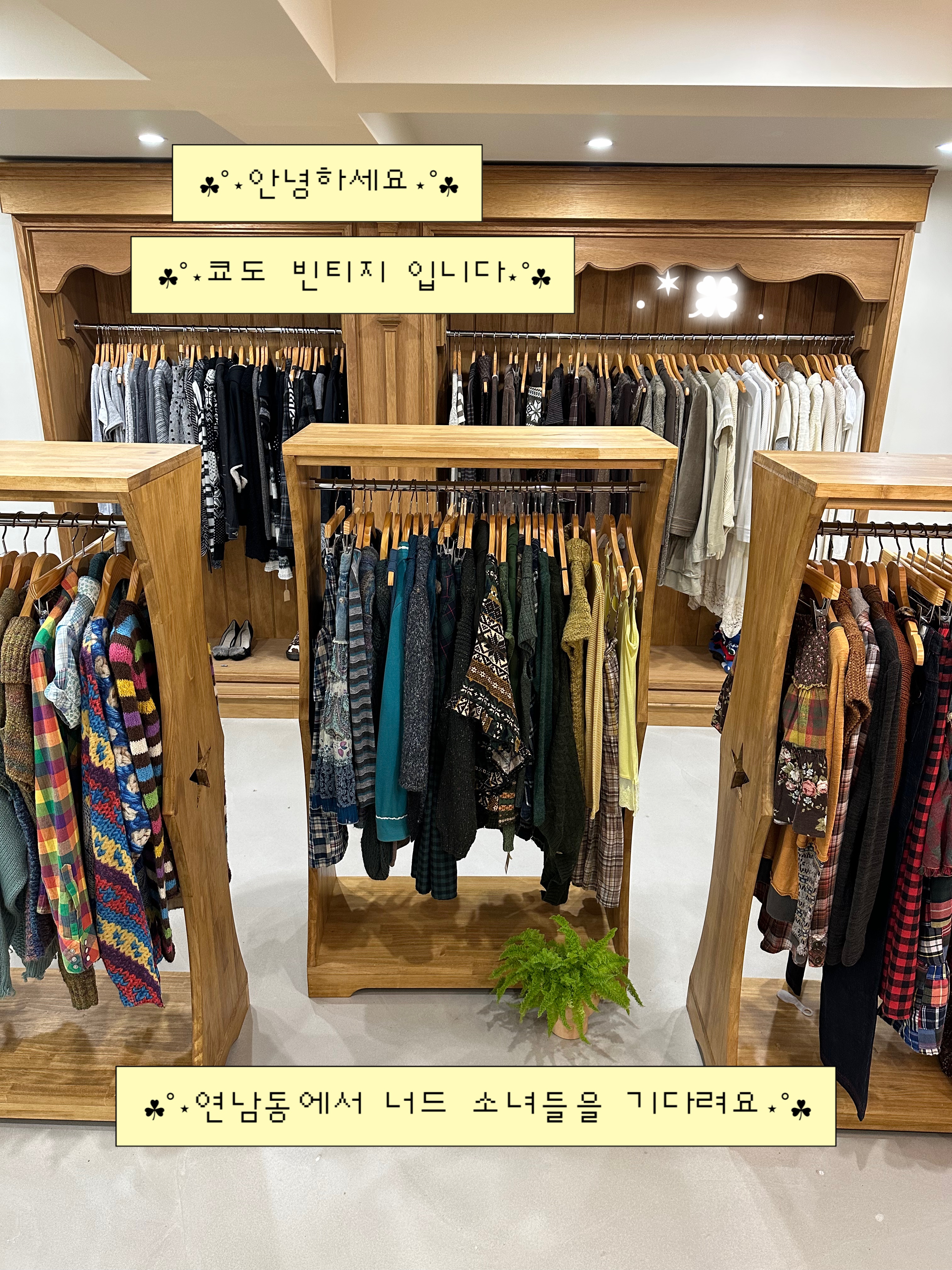 쿄도