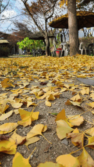 팔공산장작구이