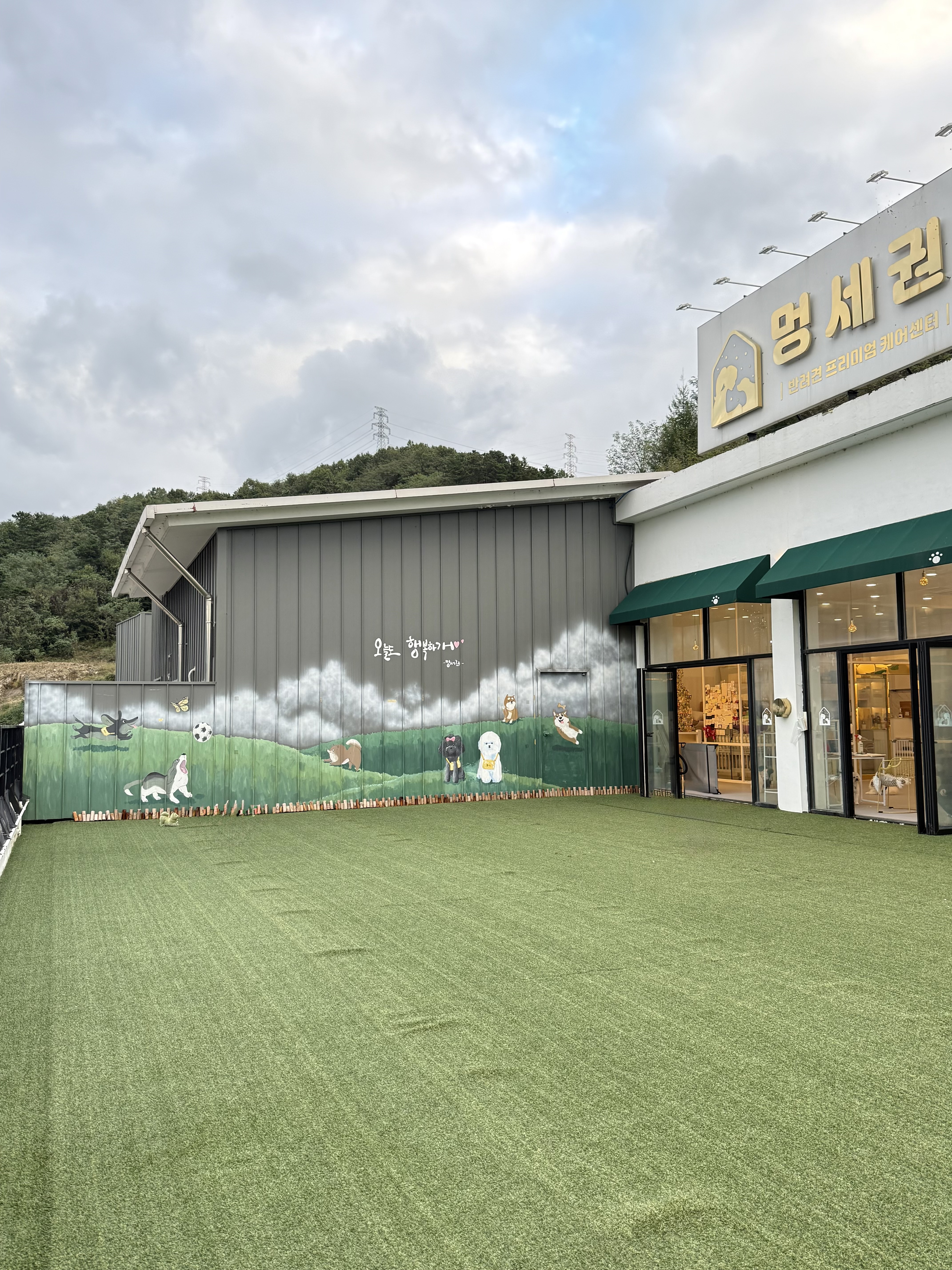 사진 5
