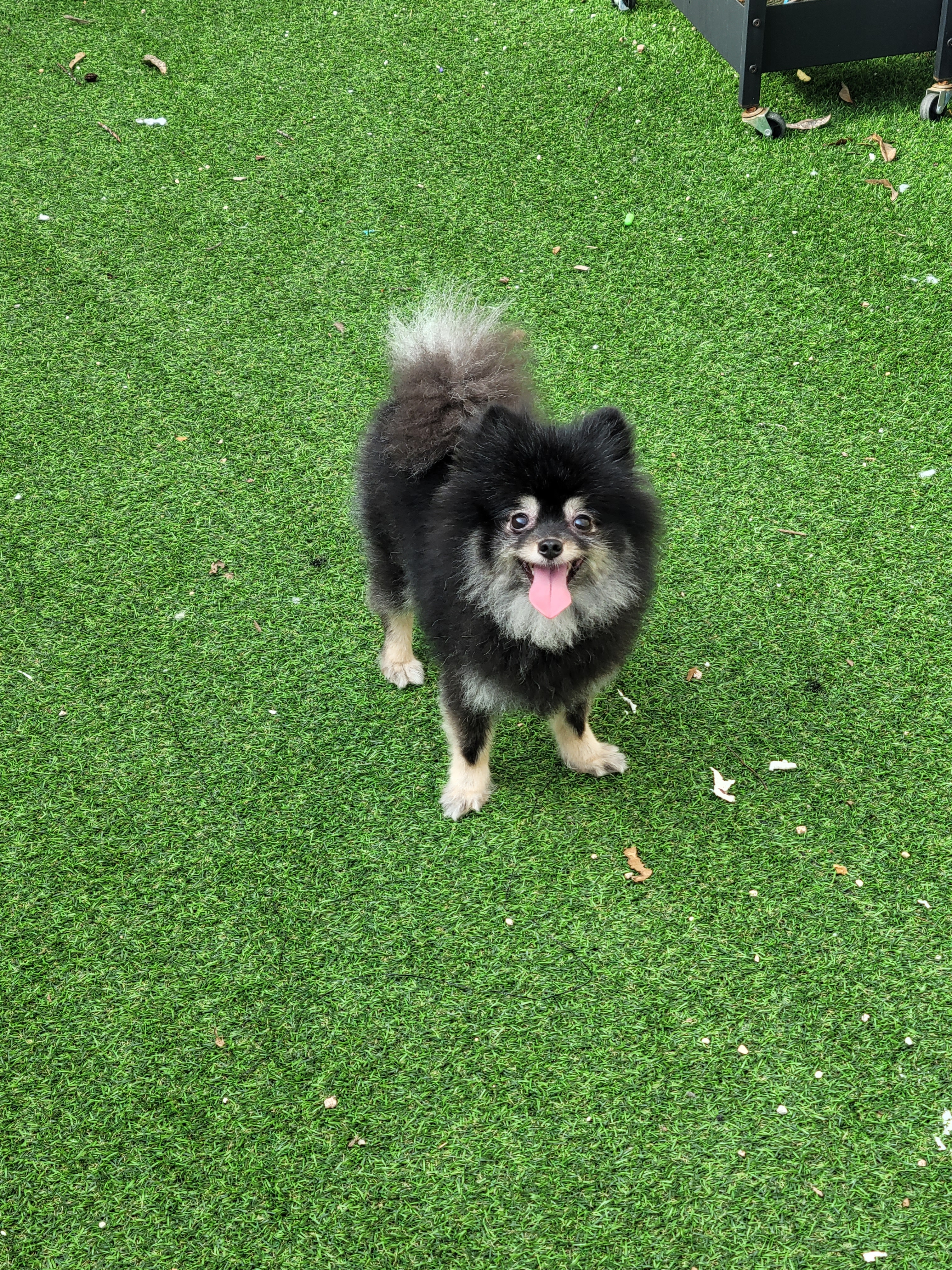 오늘도 냥독 대표 이미지