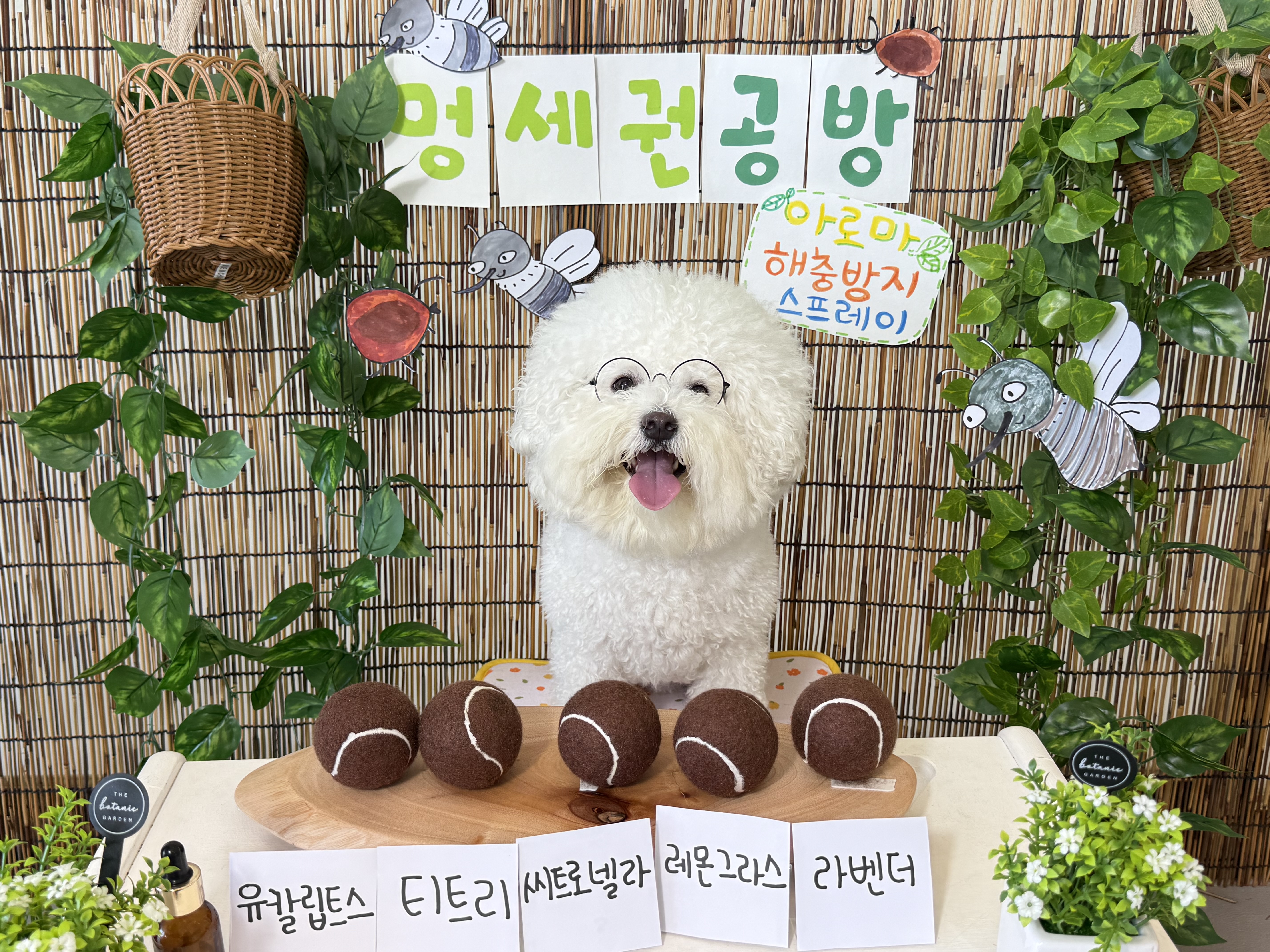 멍세권 2