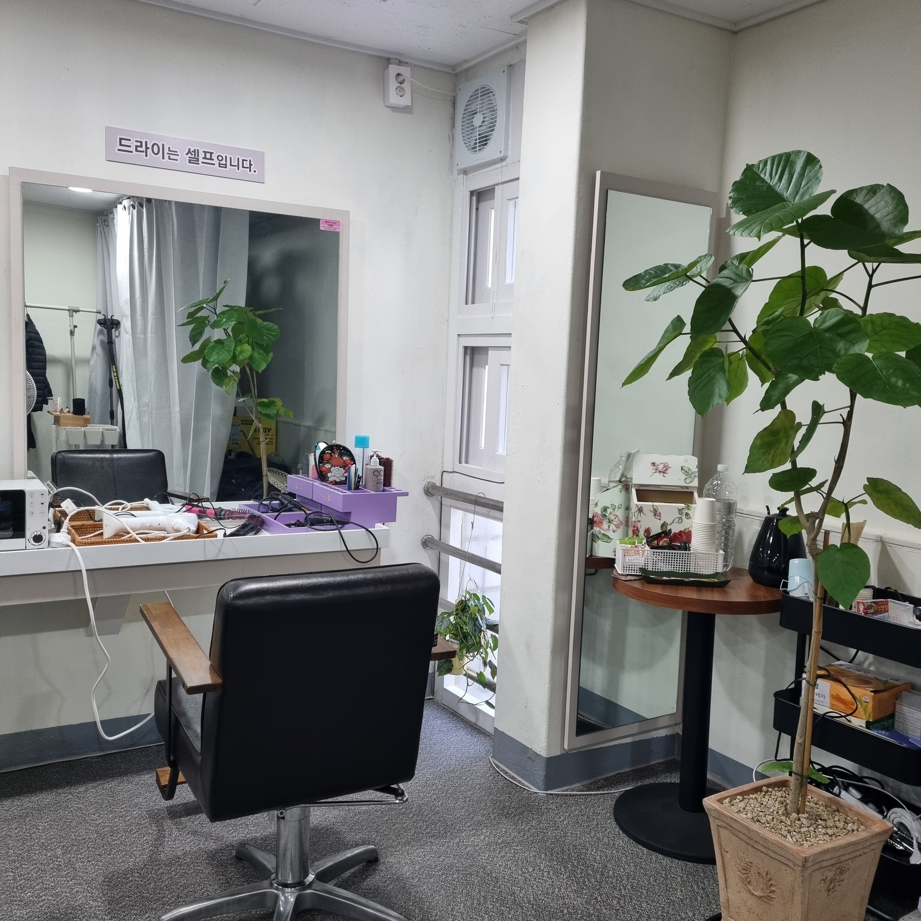 장미미용실 대표 이미지