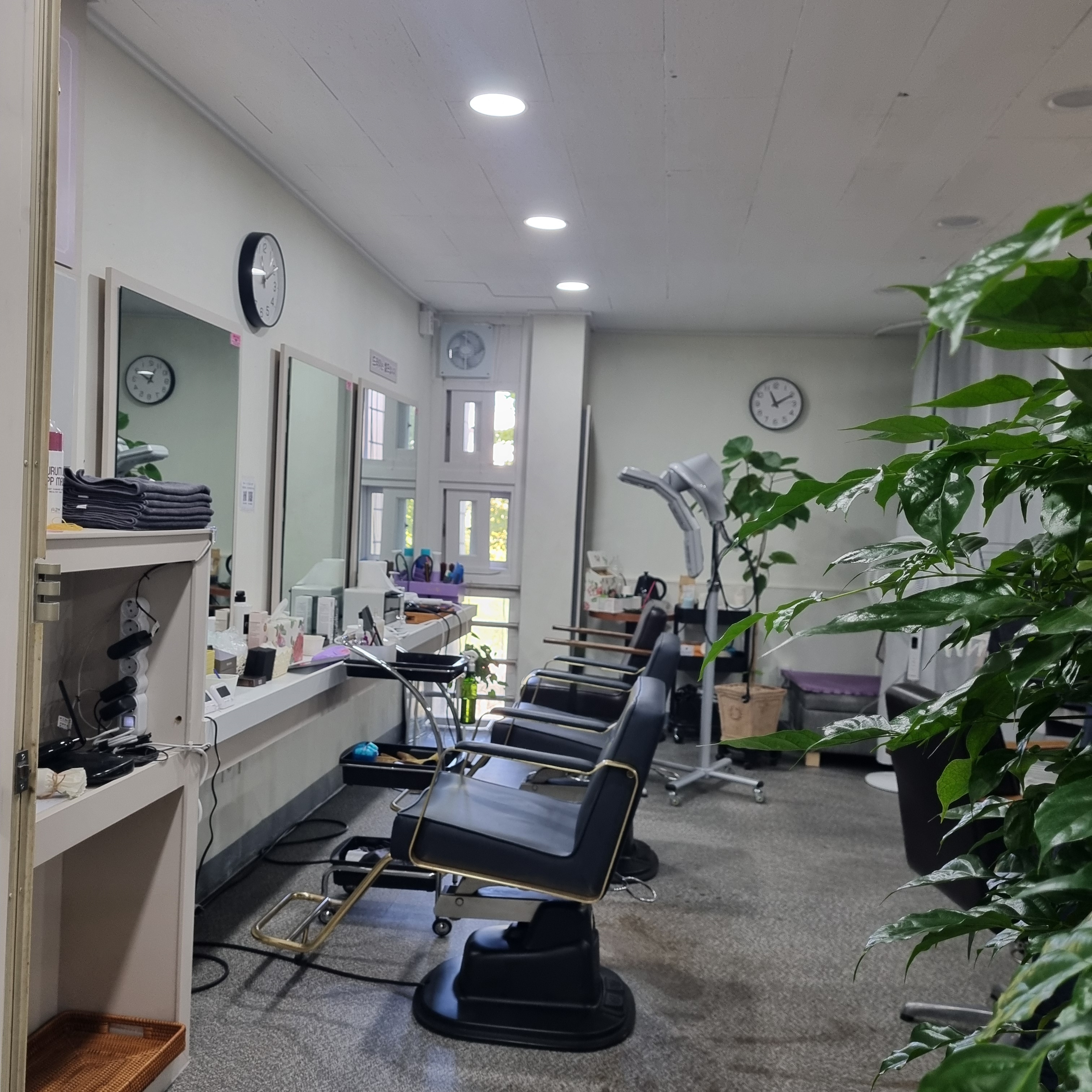 장미미용실 대표 이미지