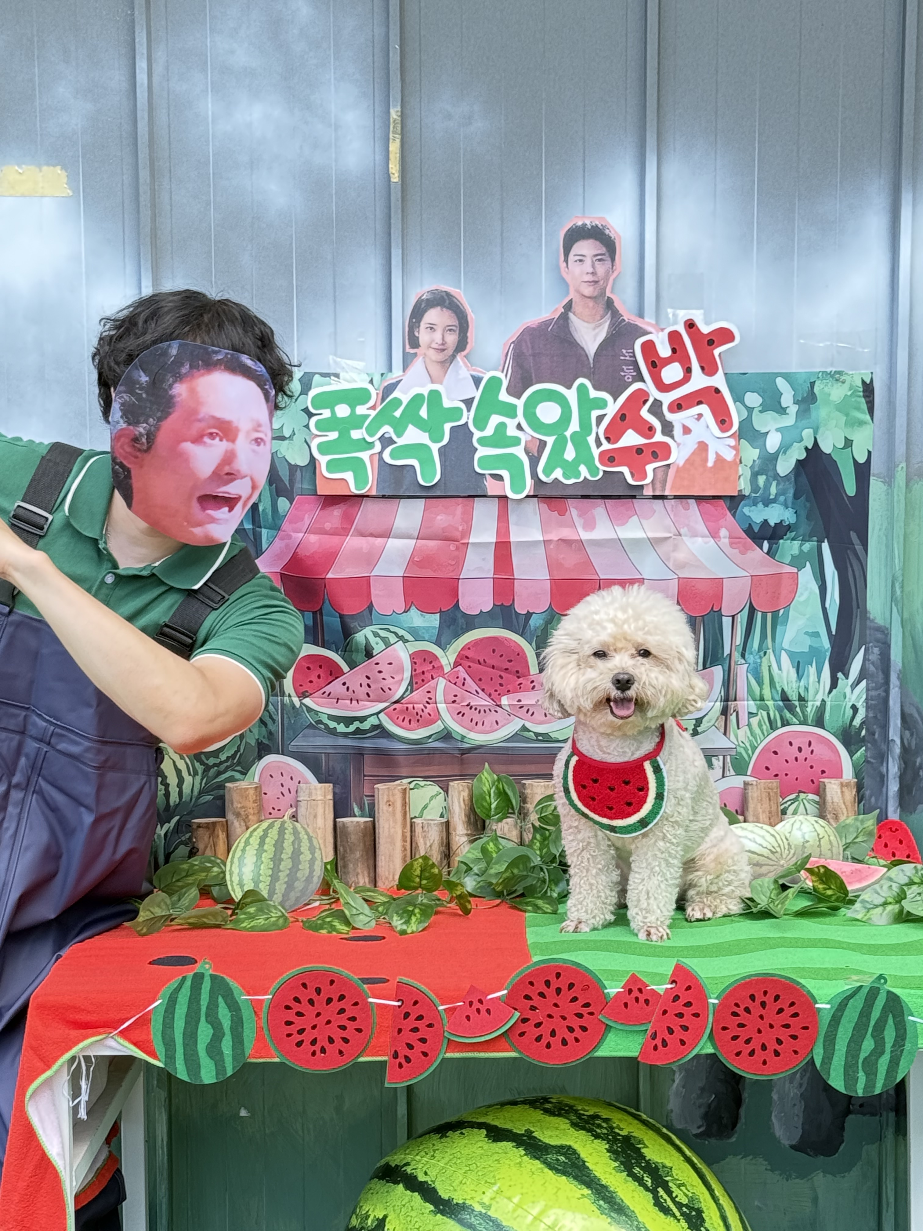 멍세권 3