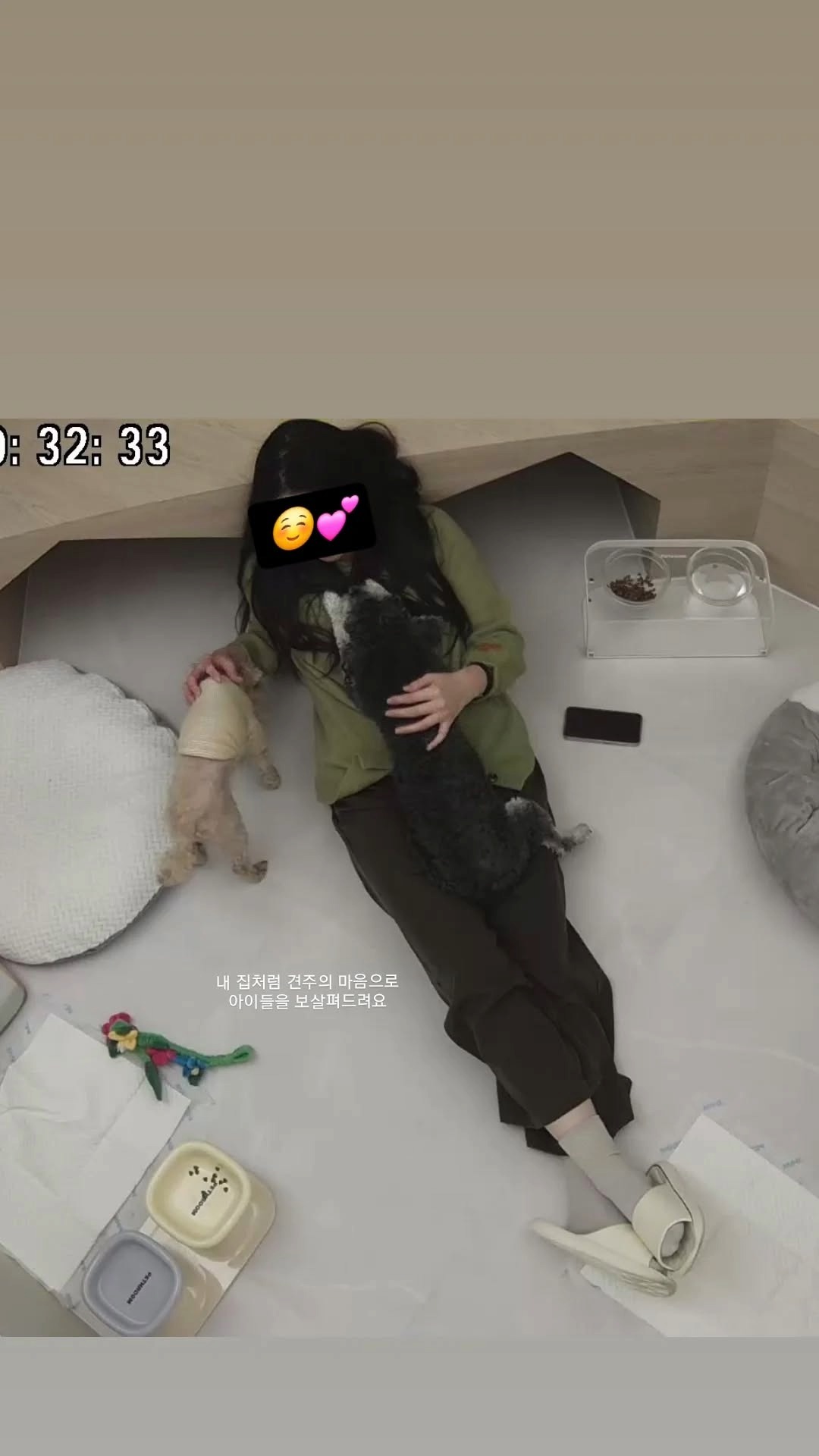 꼬모댕프라이빗애견호텔 대표 이미지