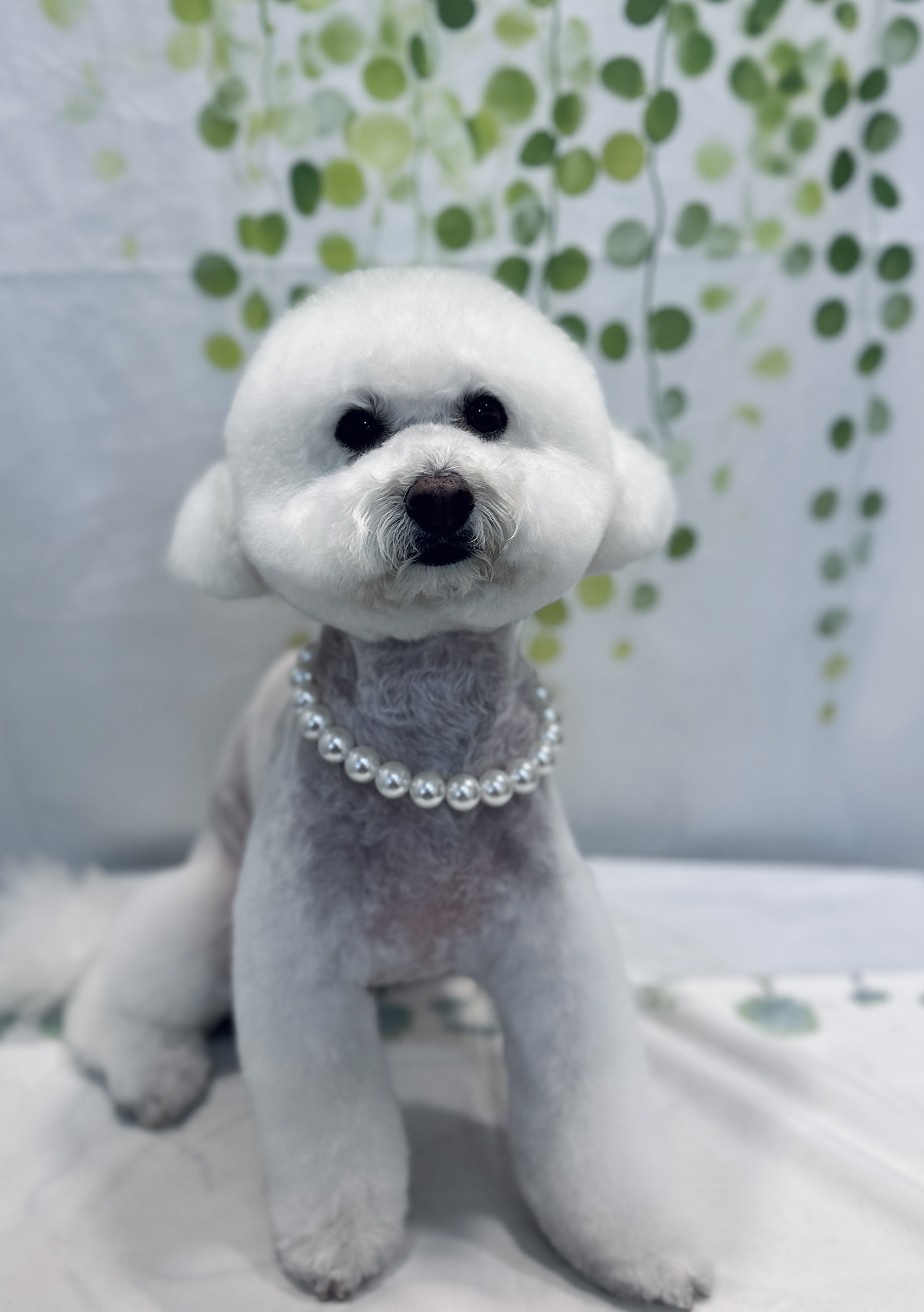 빵이네 대표 이미지