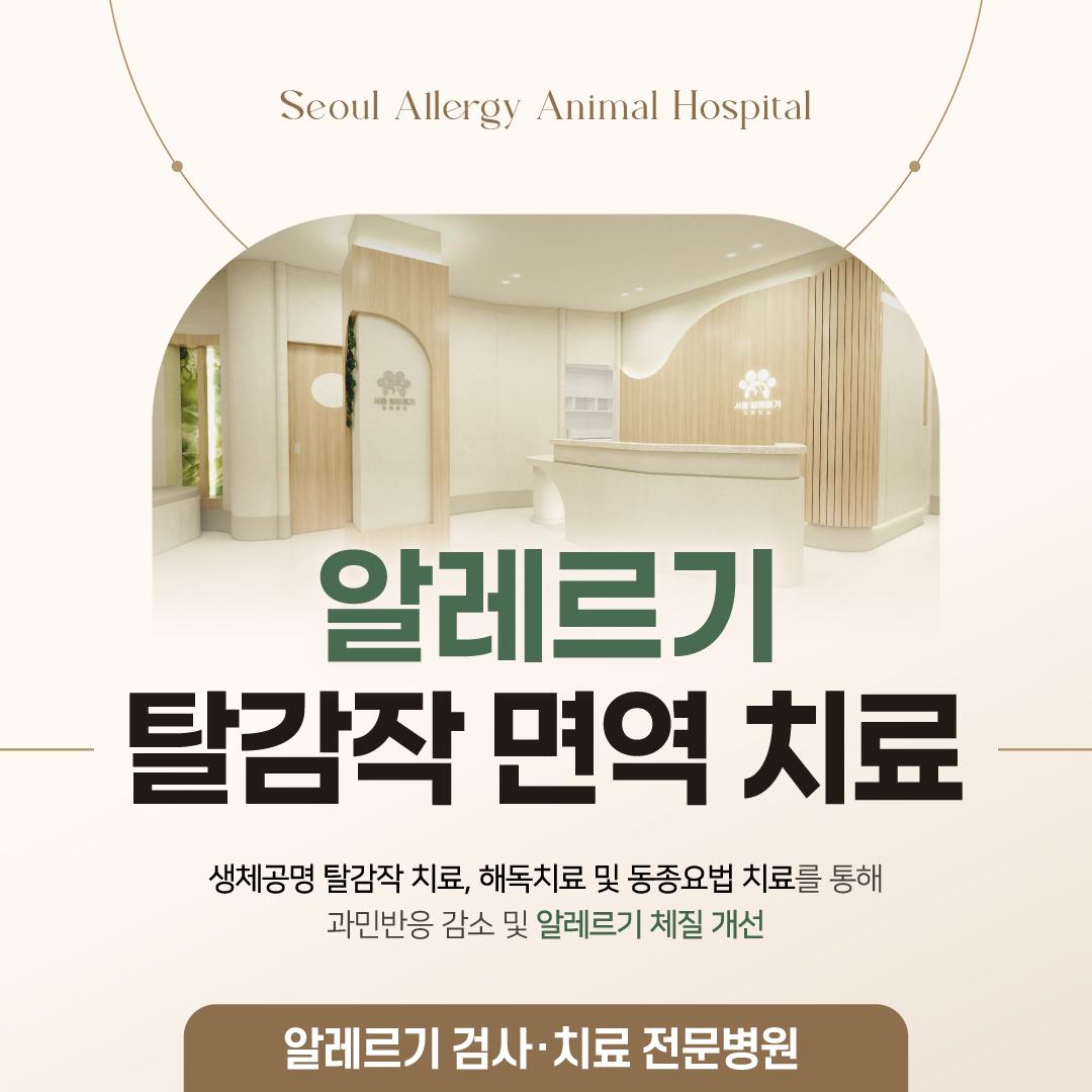 서울알레르기동물병원 대표 이미지