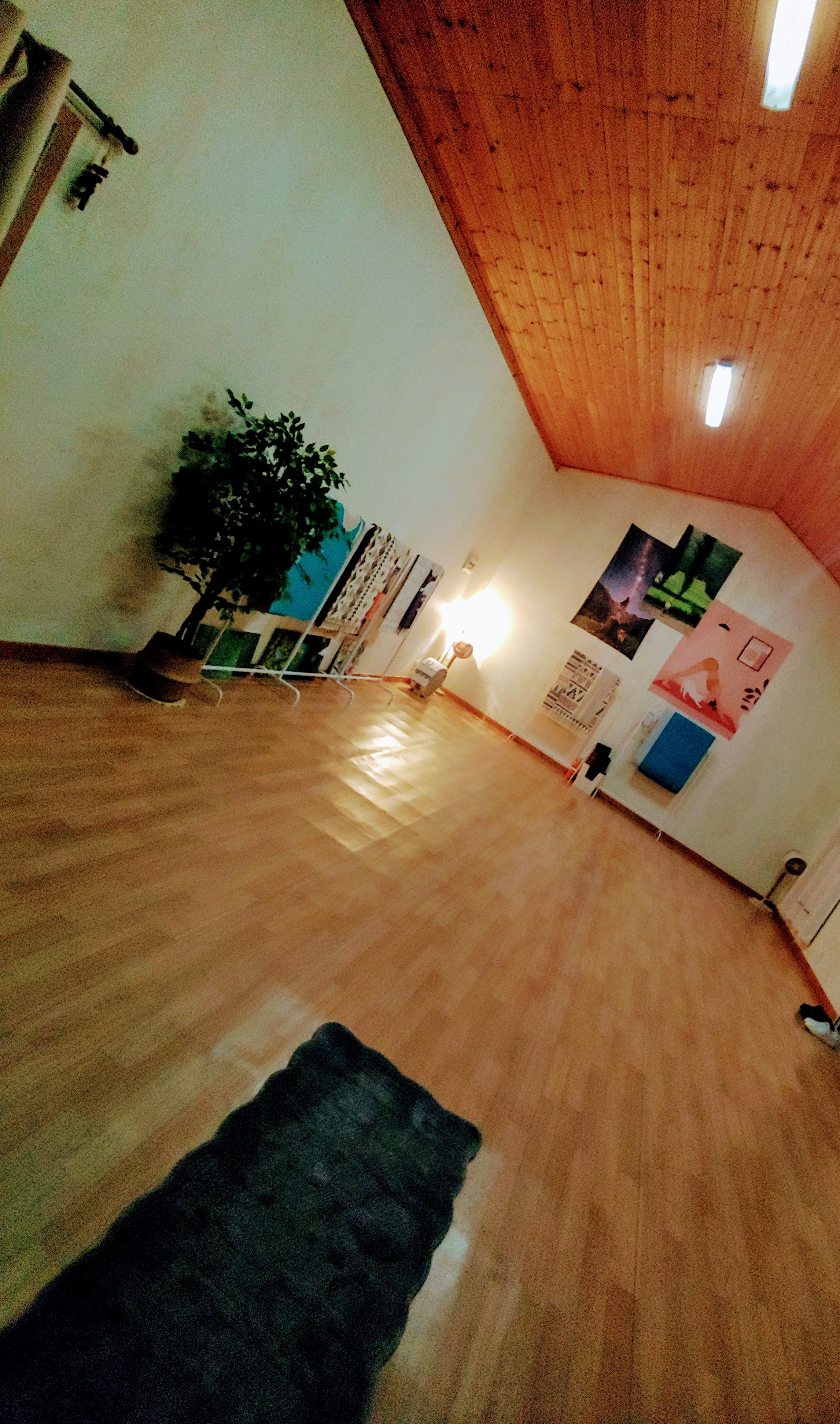 정인요가문화원 대표 이미지