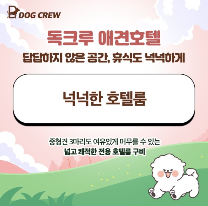 독크루 대표 이미지
