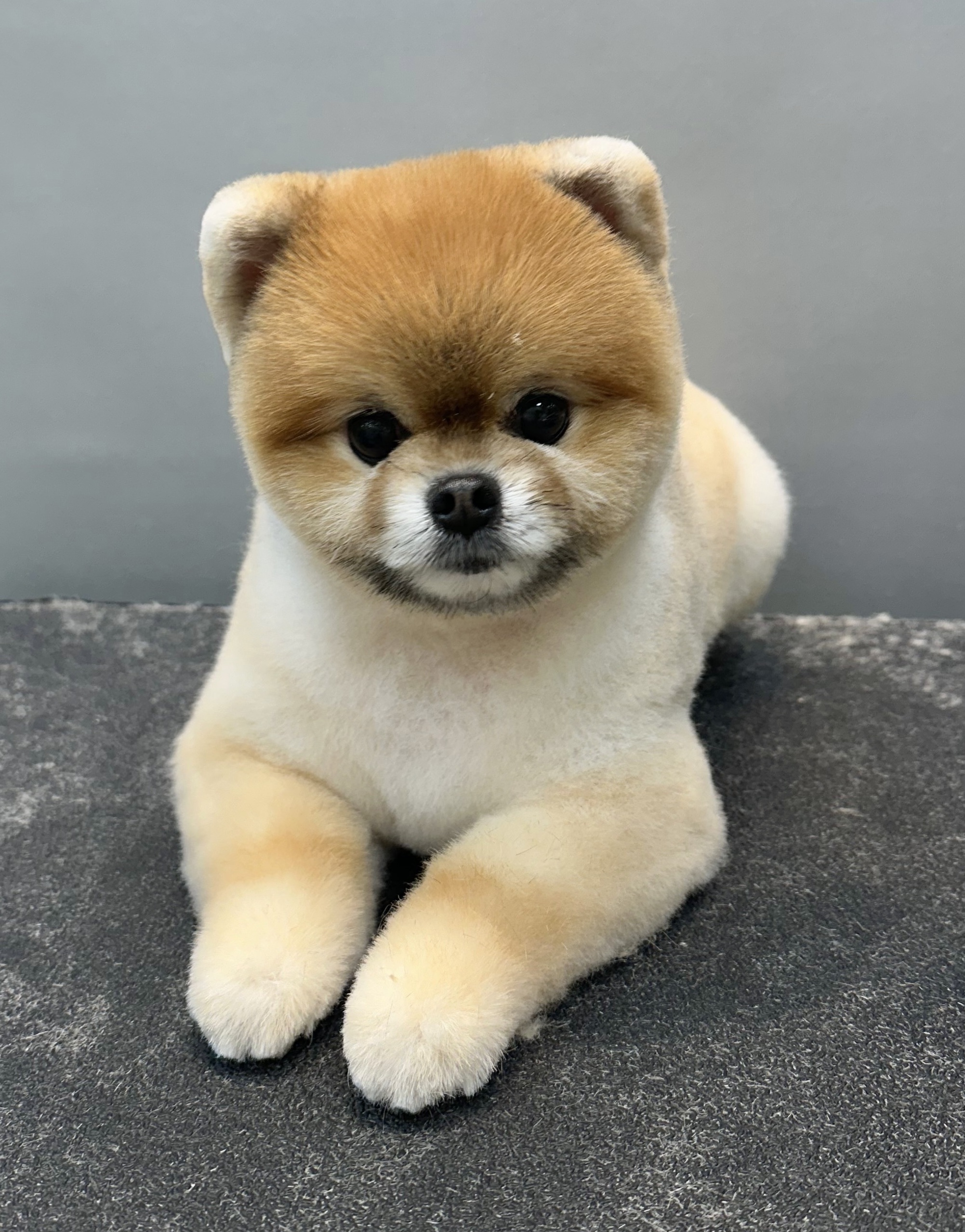 몽몽이미용실 대표 이미지
