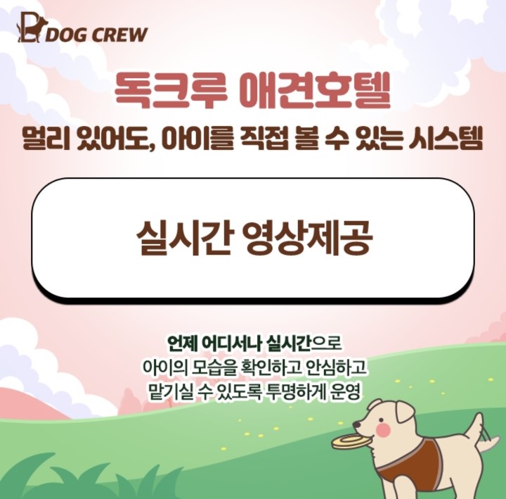 독크루 대표 이미지