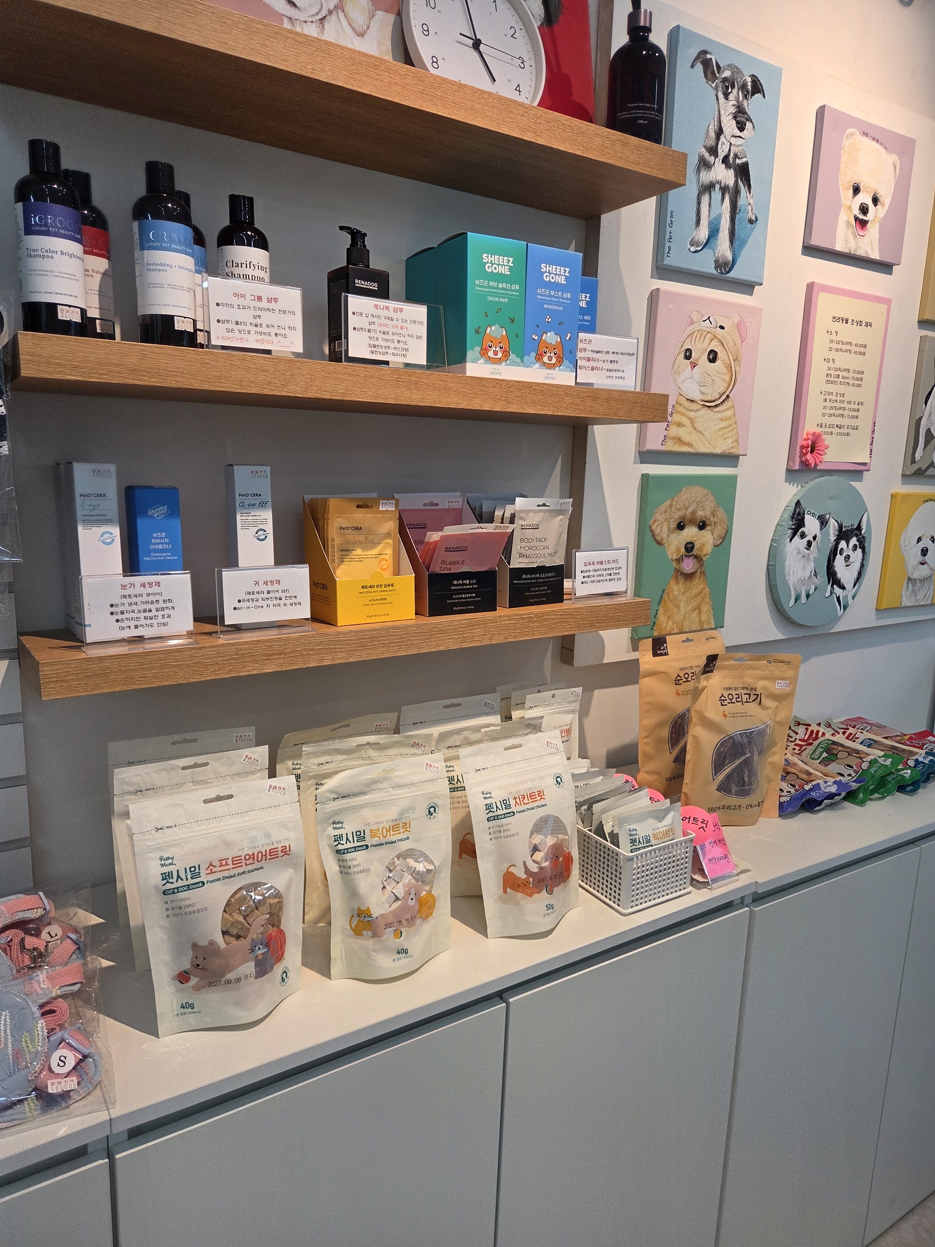 강아지 봉봉 대표 이미지