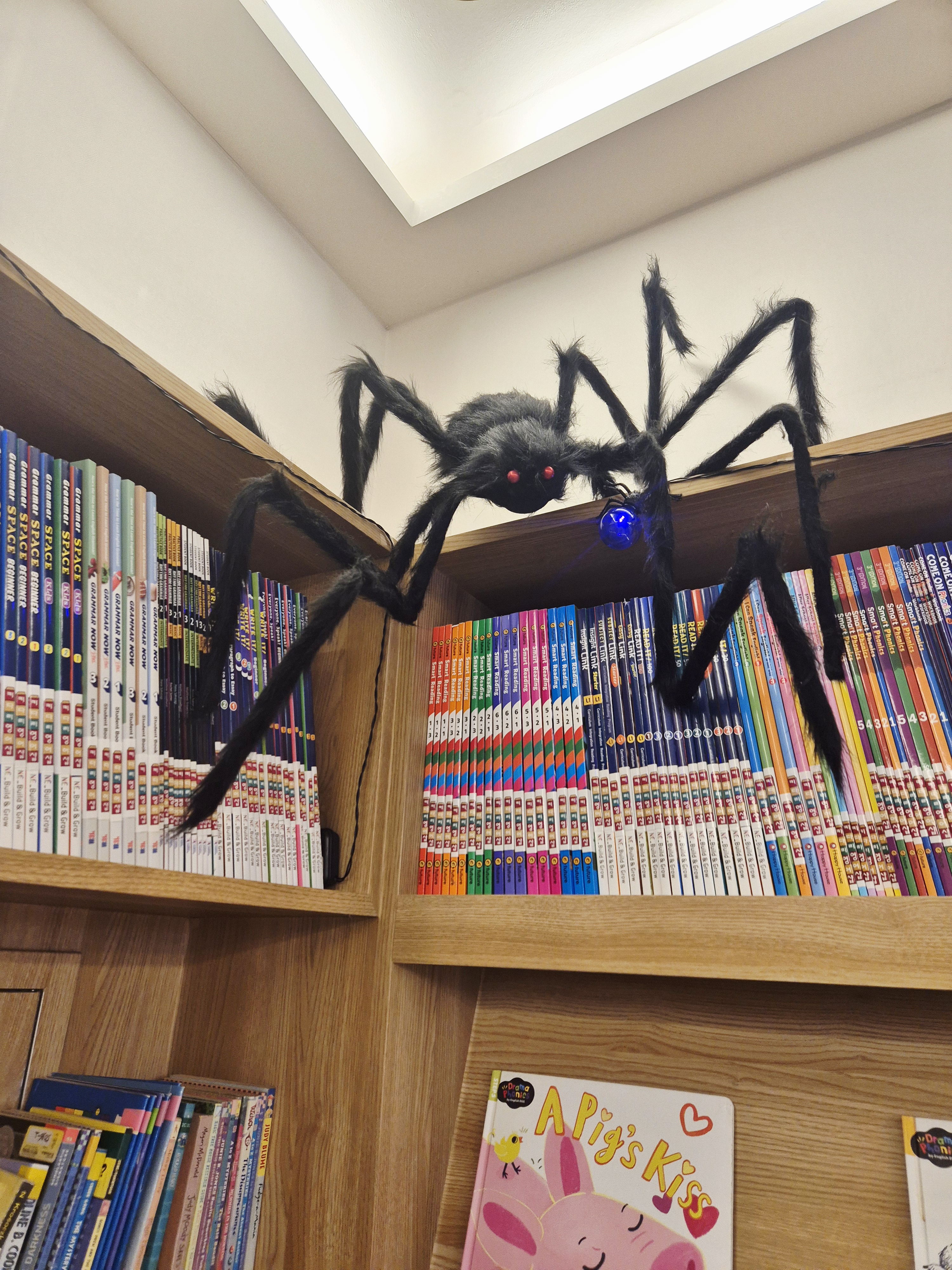 YBM ECC 대표 이미지