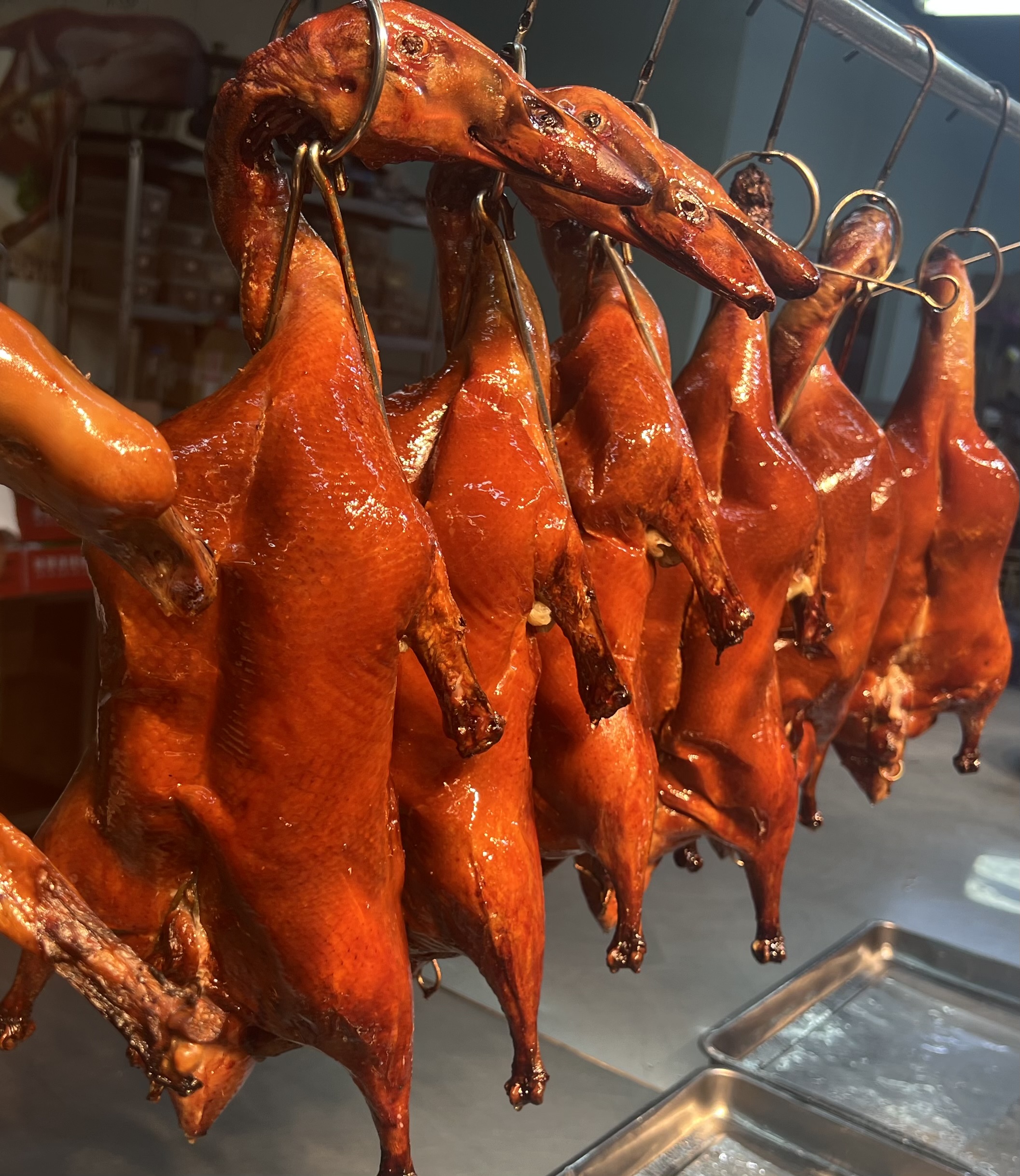 홍콩식 오리덮밥