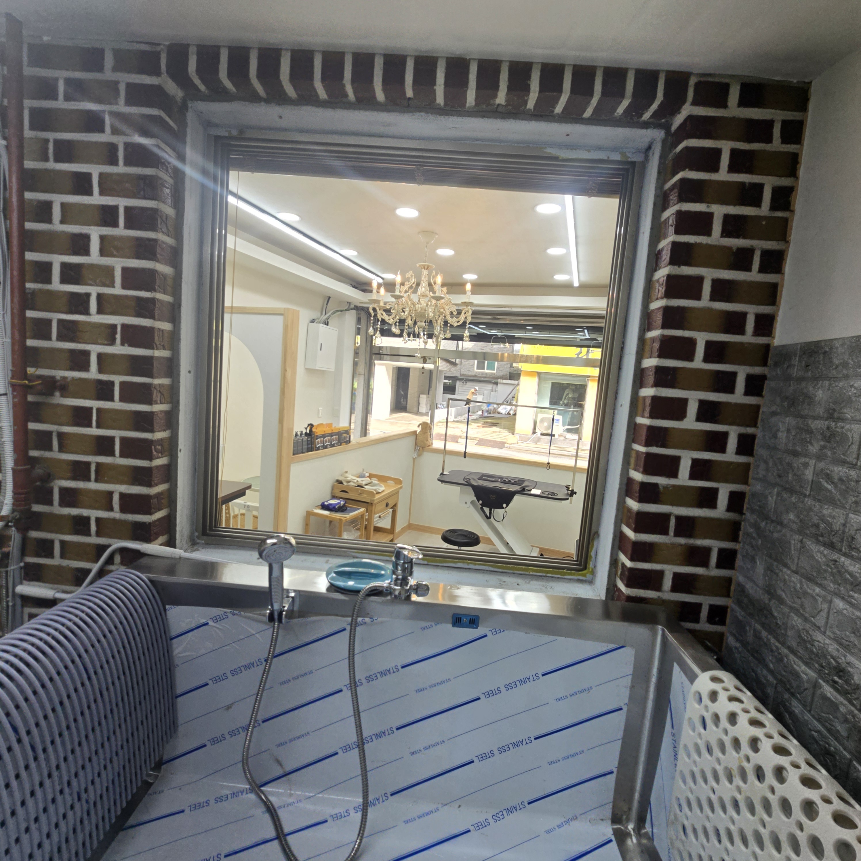 라애견미용 대표 이미지