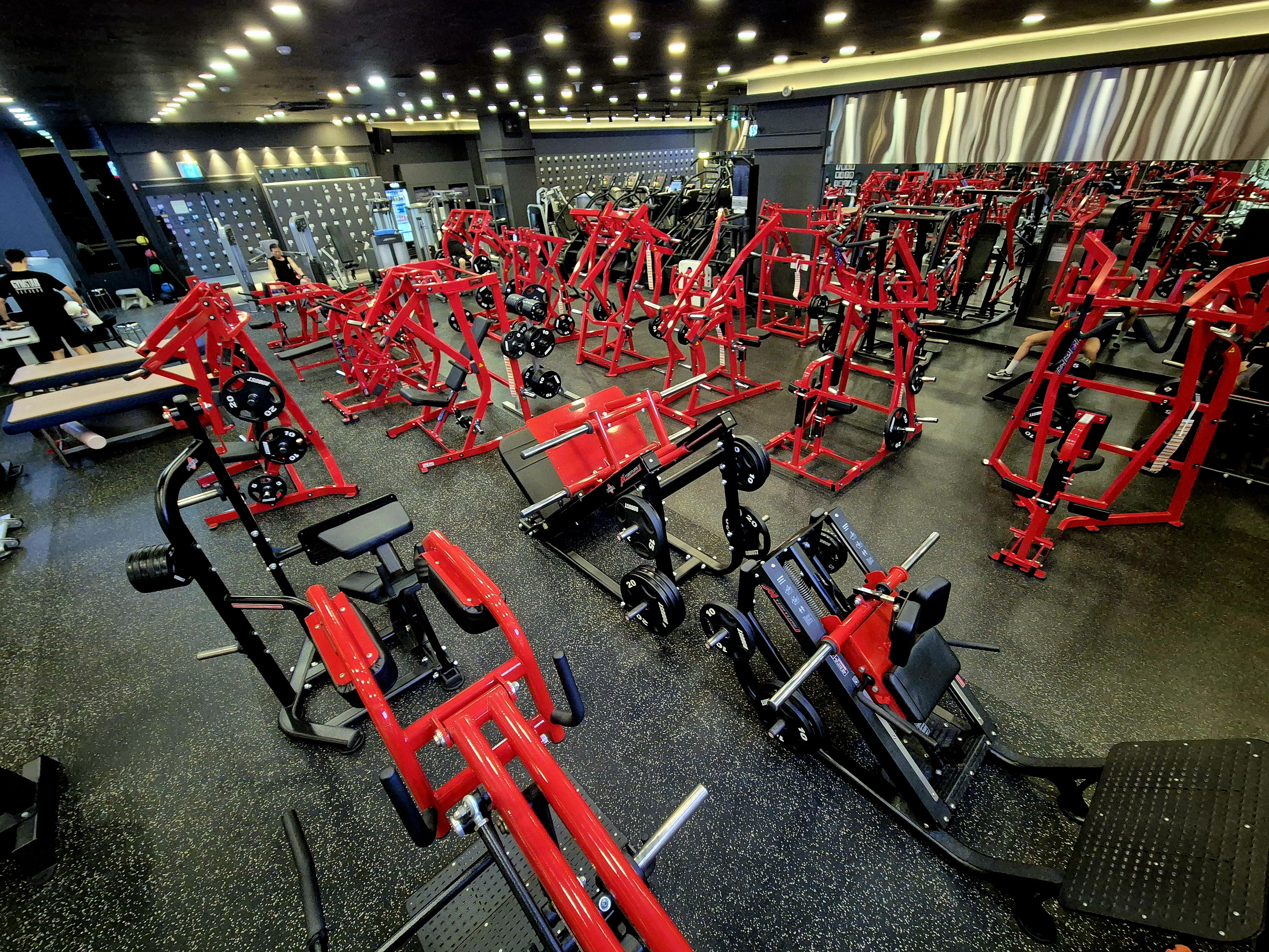 짐스타 대표 이미지