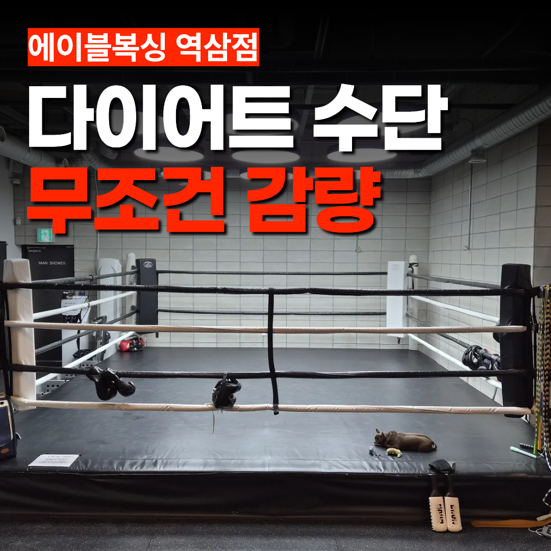 서울 강남구 논현로 복싱체육관 에이블 복싱GYM 내부 모습 3