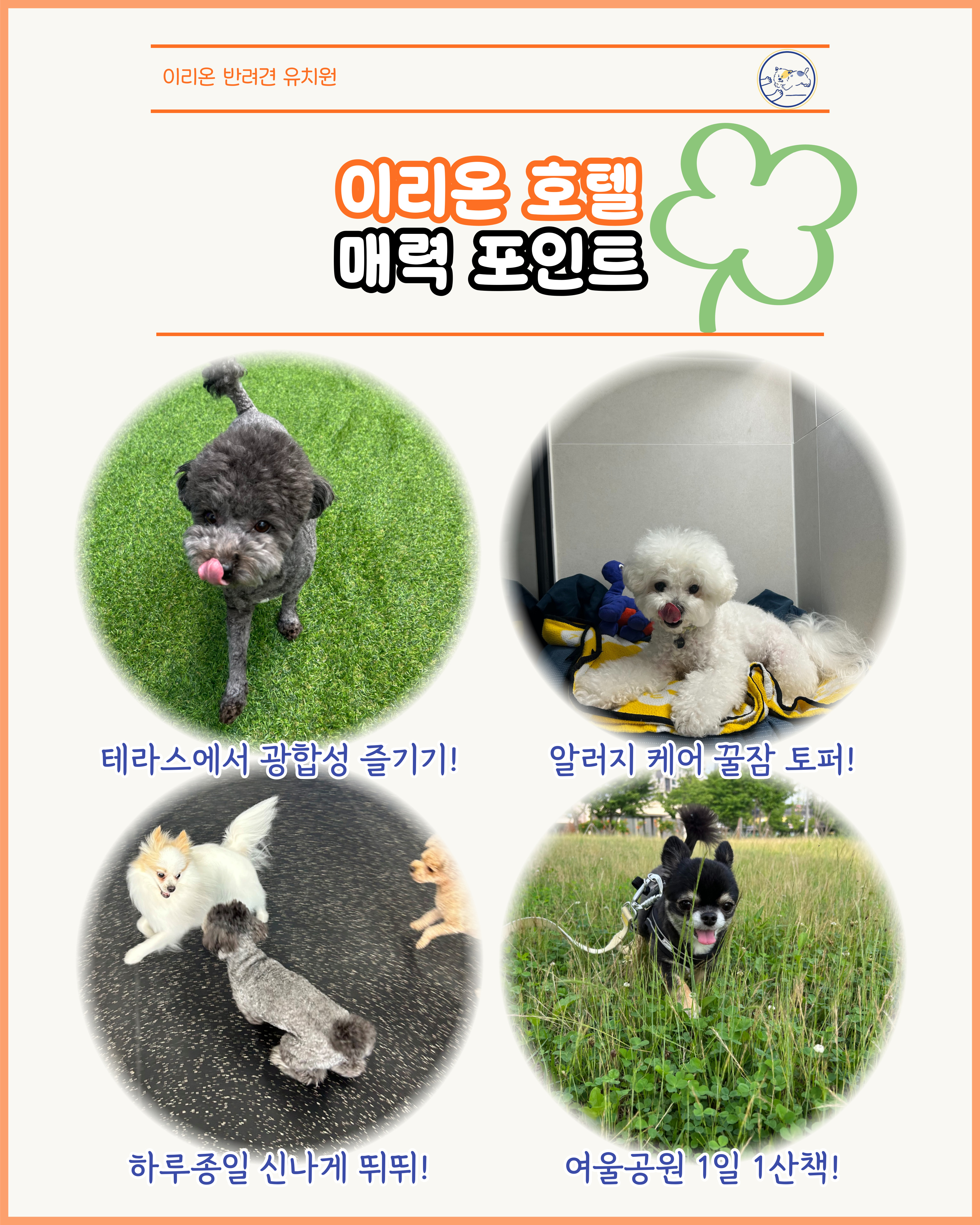 이리온 동탄 애견유치원 애견호텔 대표 이미지