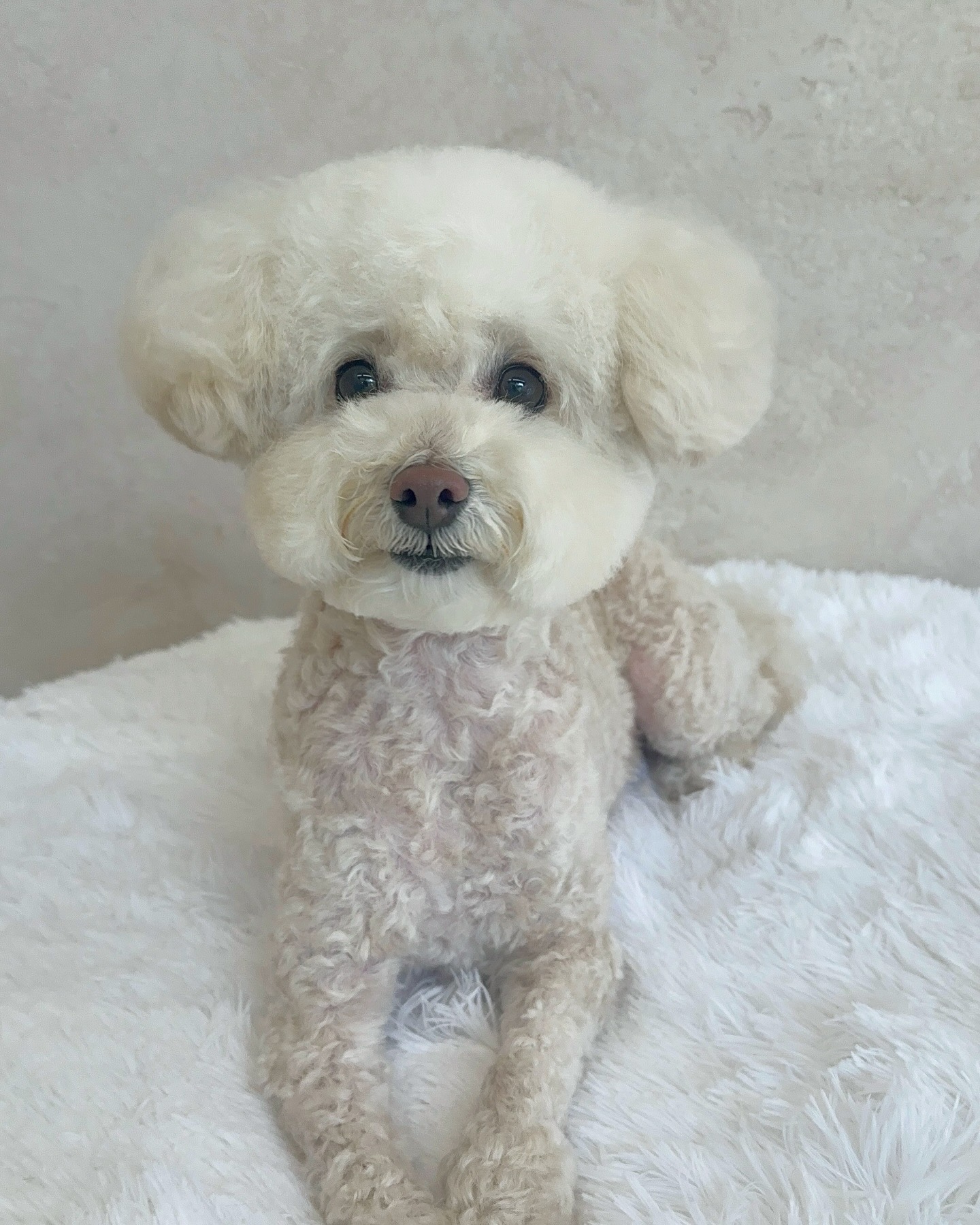 르몽 대표 이미지