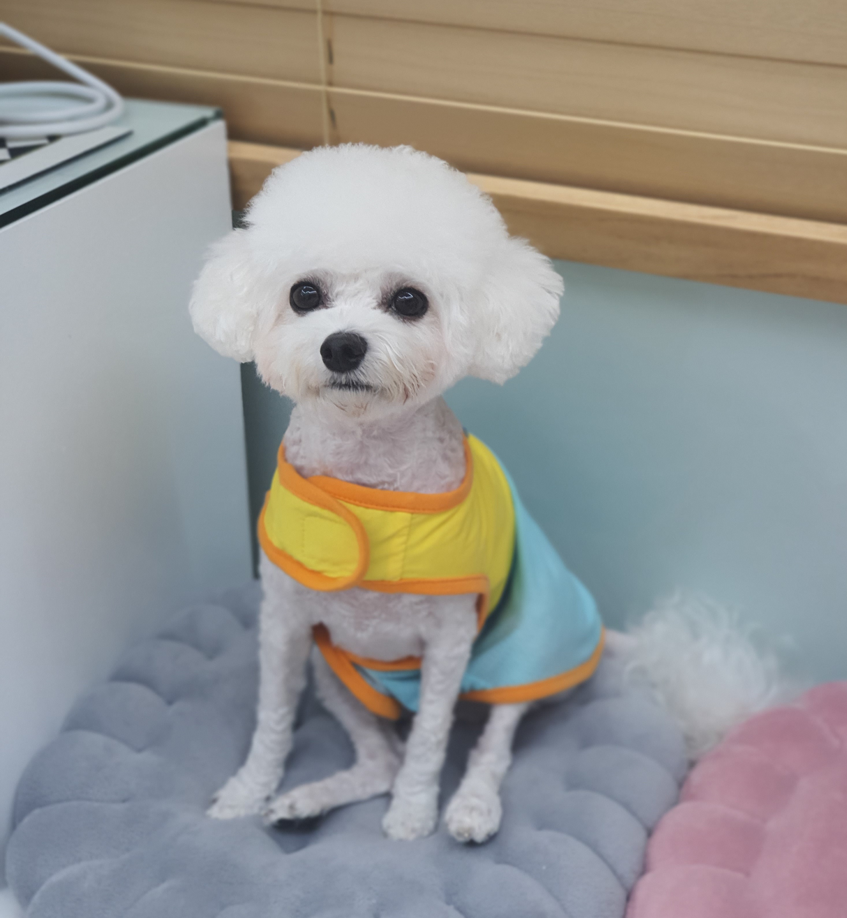몽베르 대표 이미지