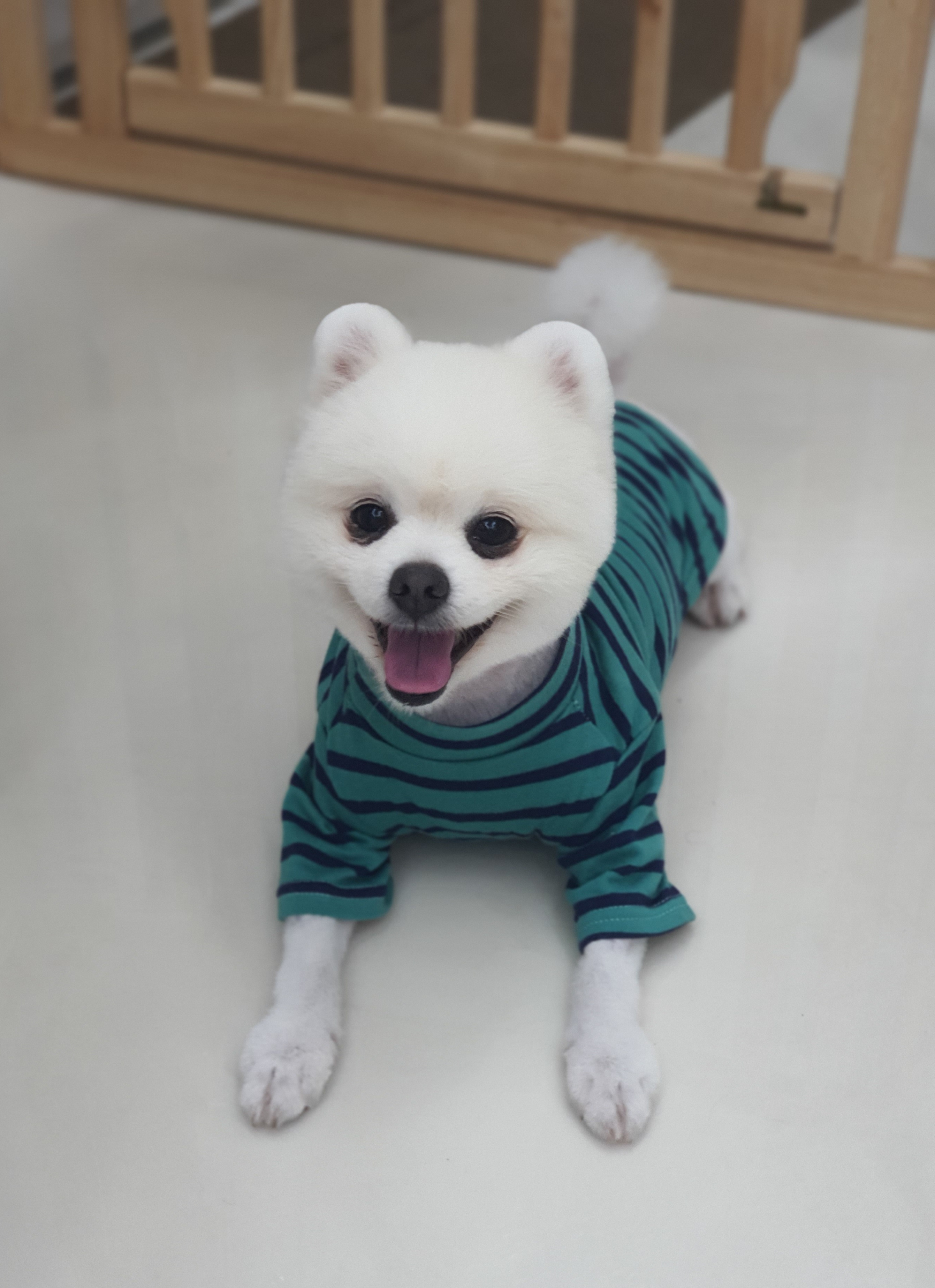 몽베르 대표 이미지