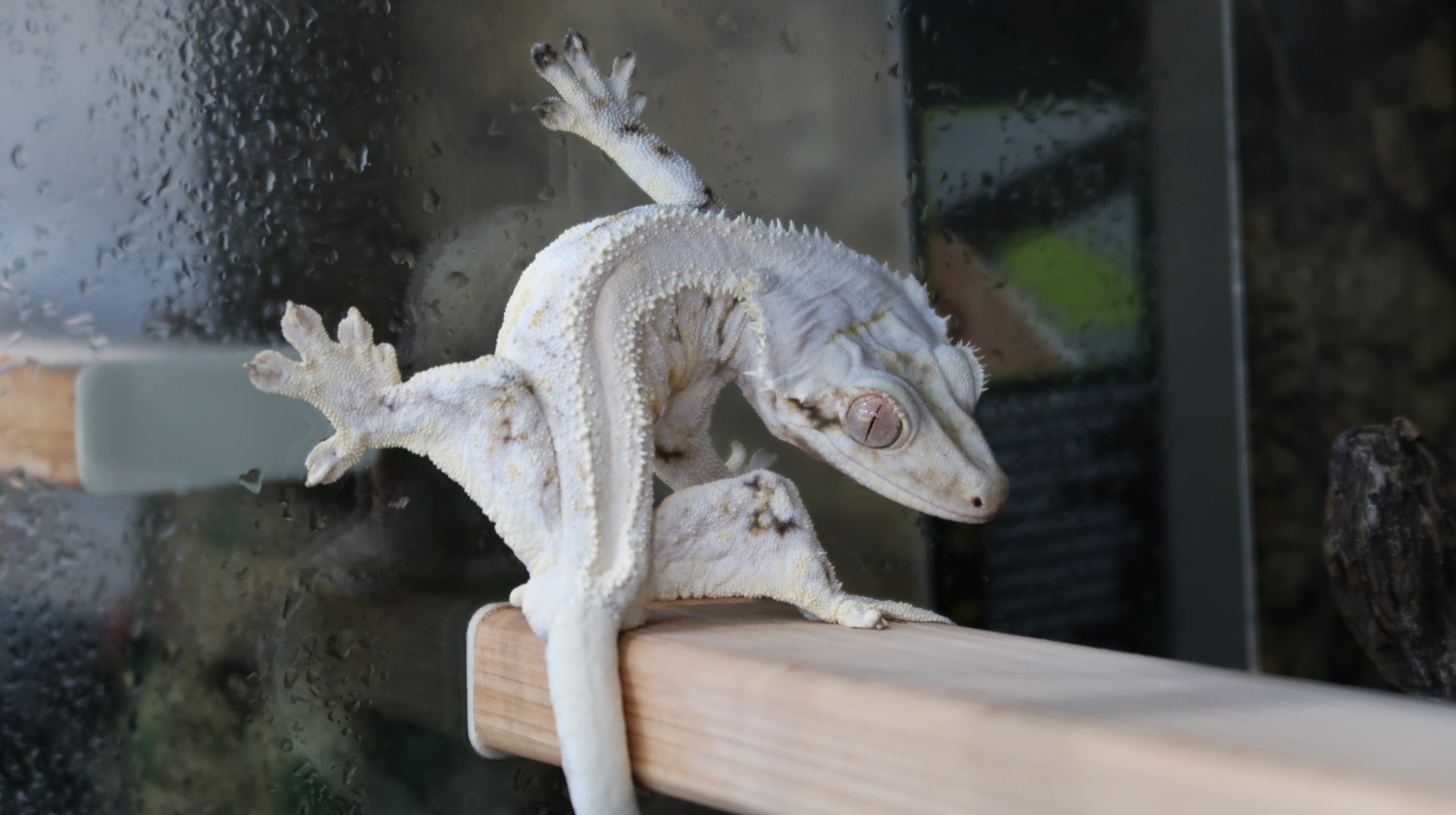 태산렙타일 대표 이미지