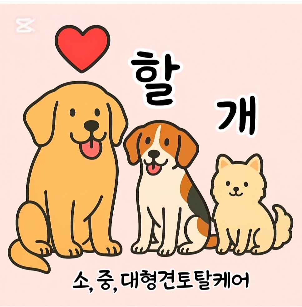 사랑할개 반려동물 동반 애견카페