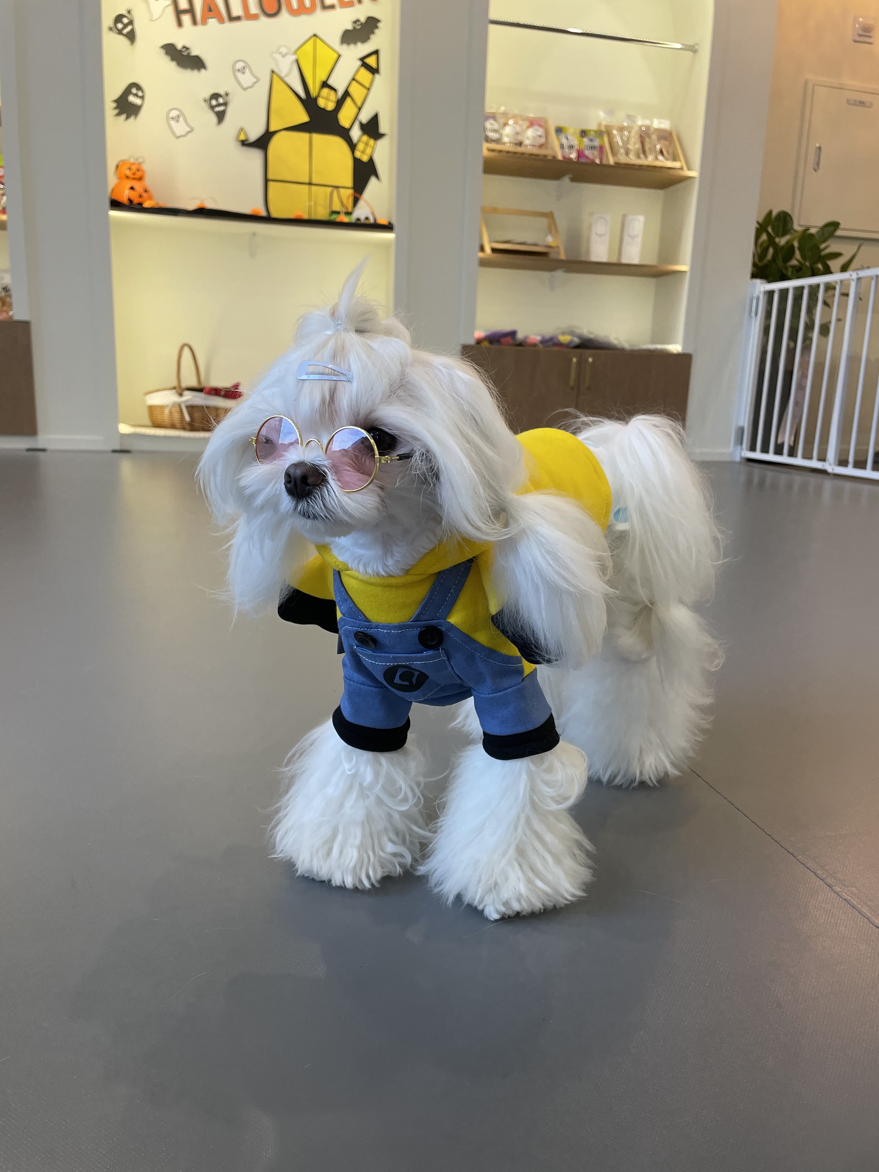 우다다멍 대표 이미지