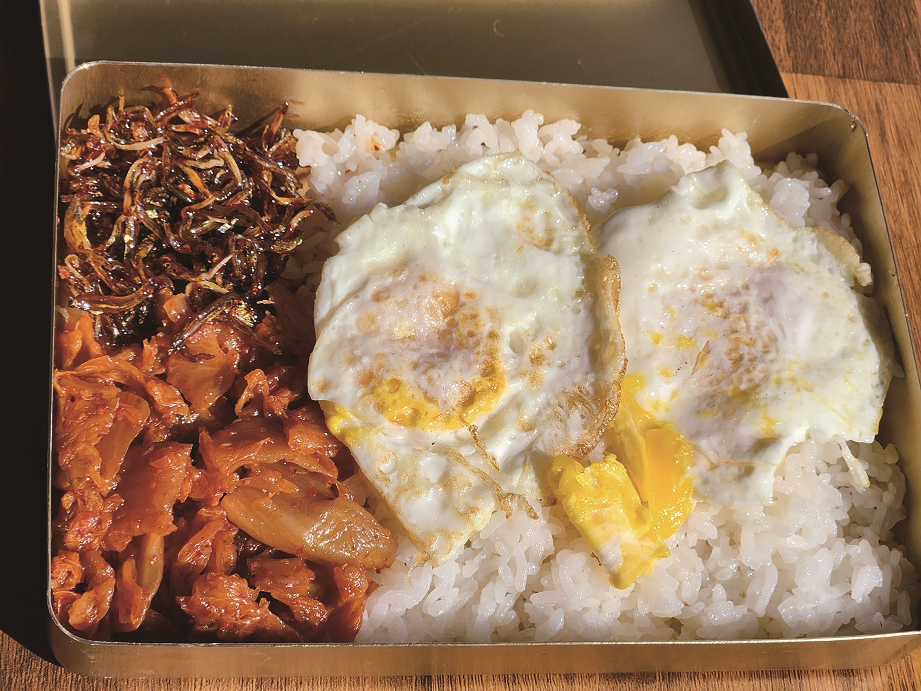 귀여운개최고애견유치원 2