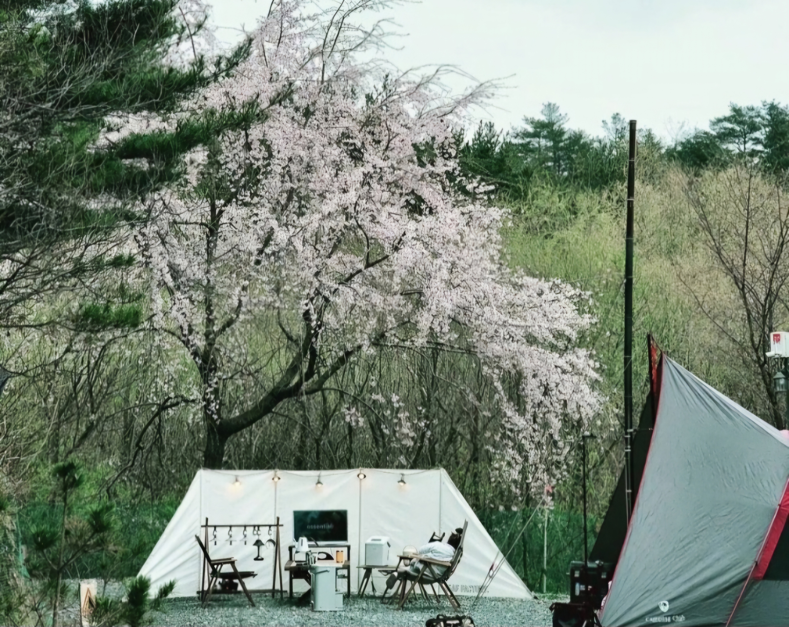 캠핑장 사진