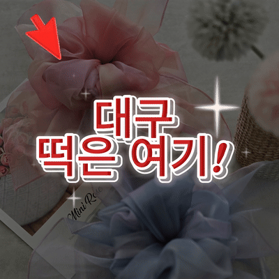 자두한식디저트