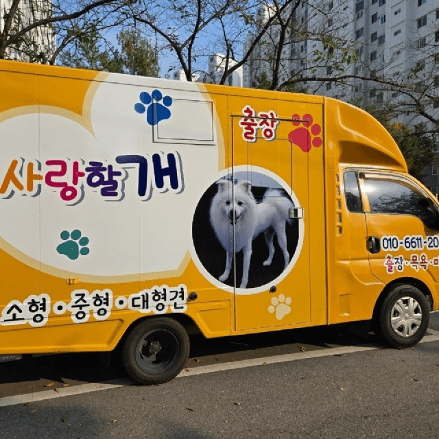 사랑할개 대형견 대표 이미지