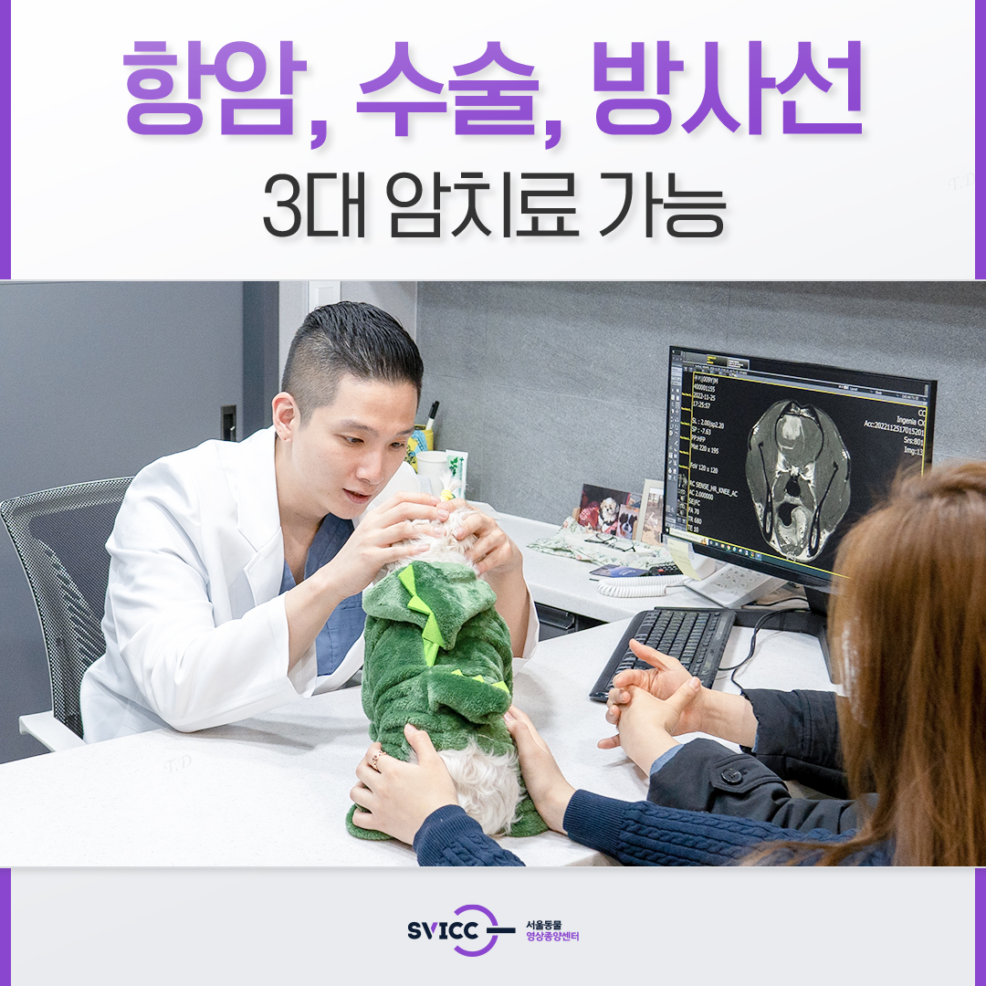 서울동물영상종양센터 대표 이미지