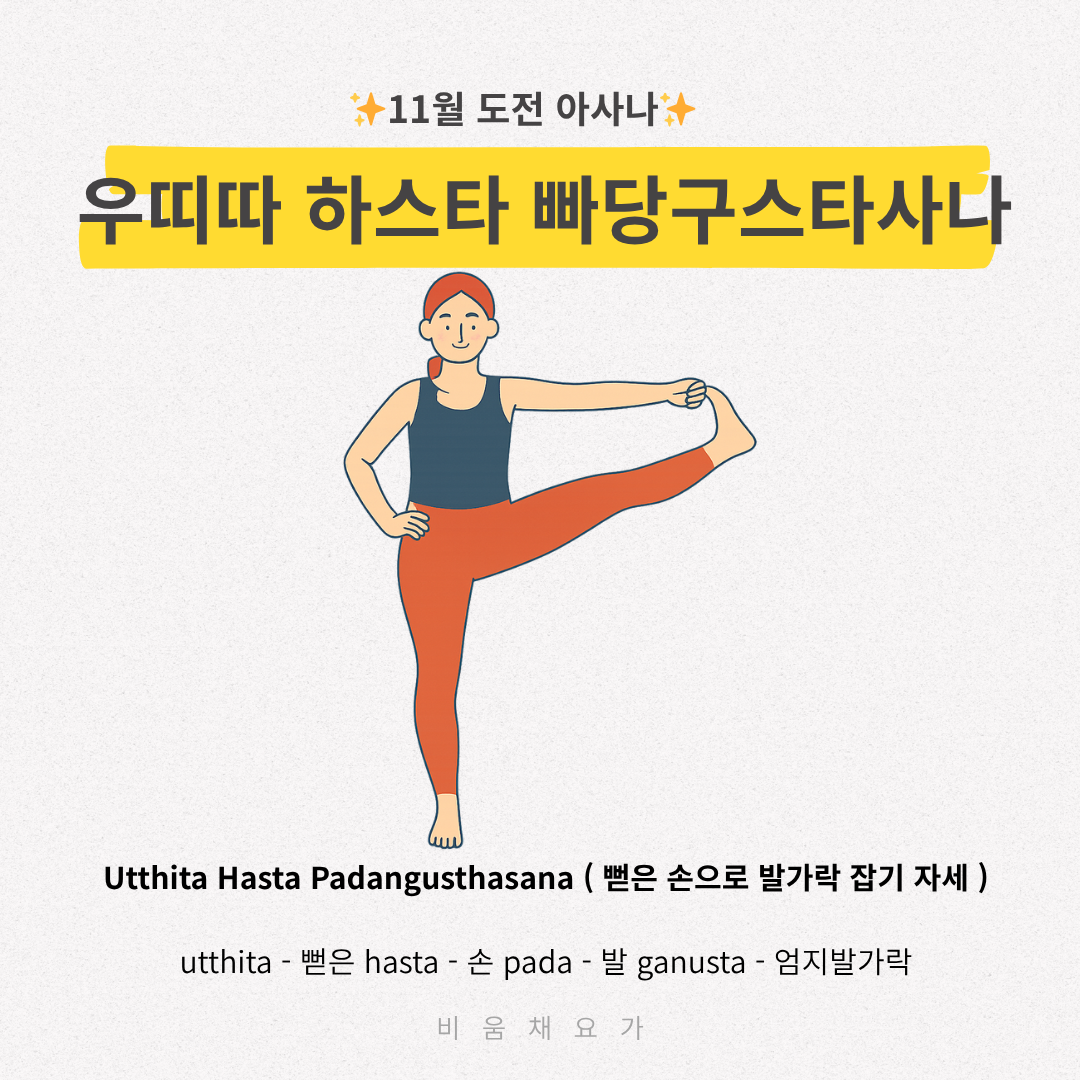 비움채요가 대표 이미지