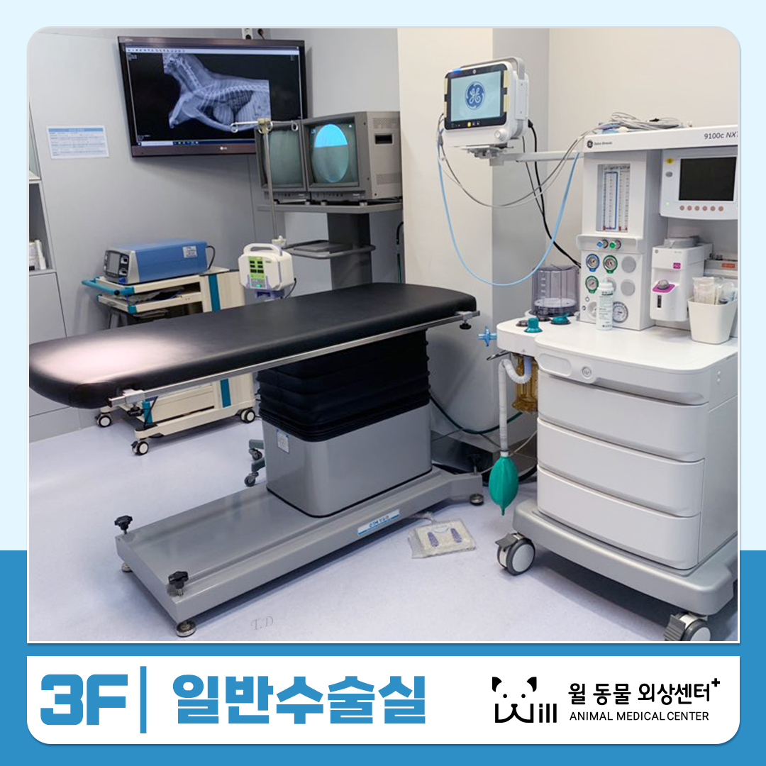 윌 동물외상센터 대표 이미지