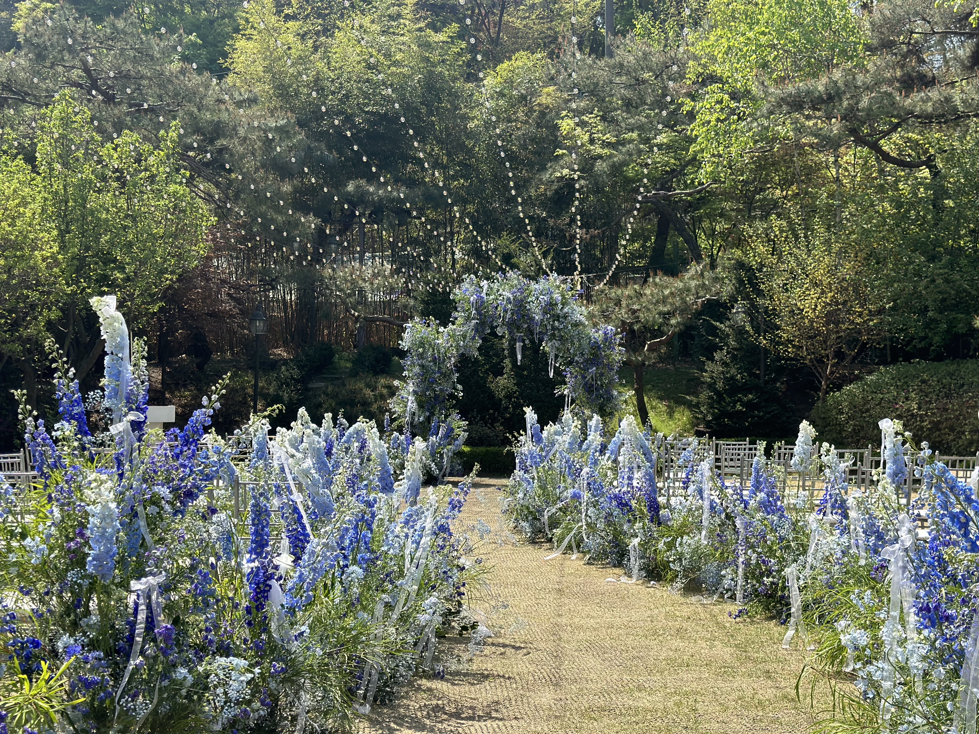 라비두스 대표 이미지