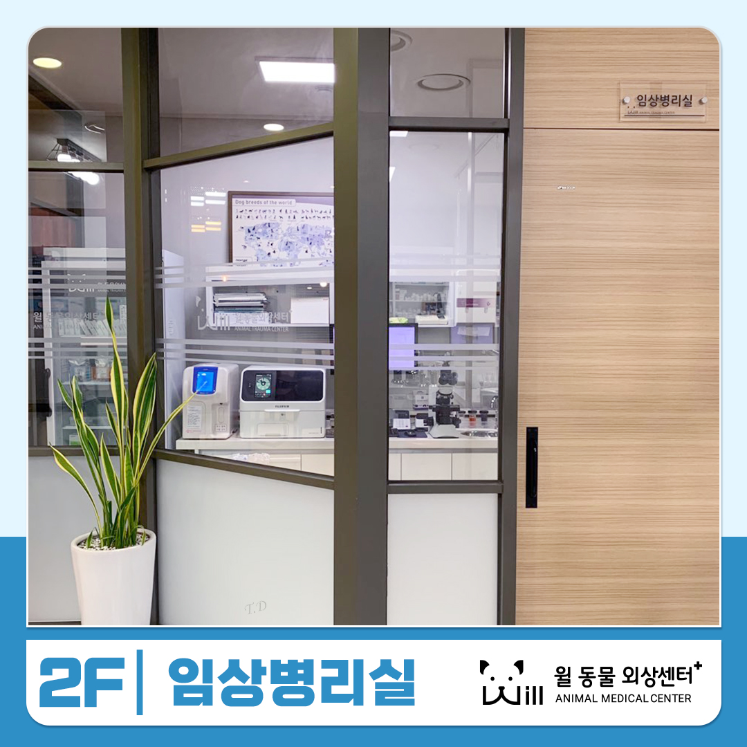 윌 동물외상센터 대표 이미지