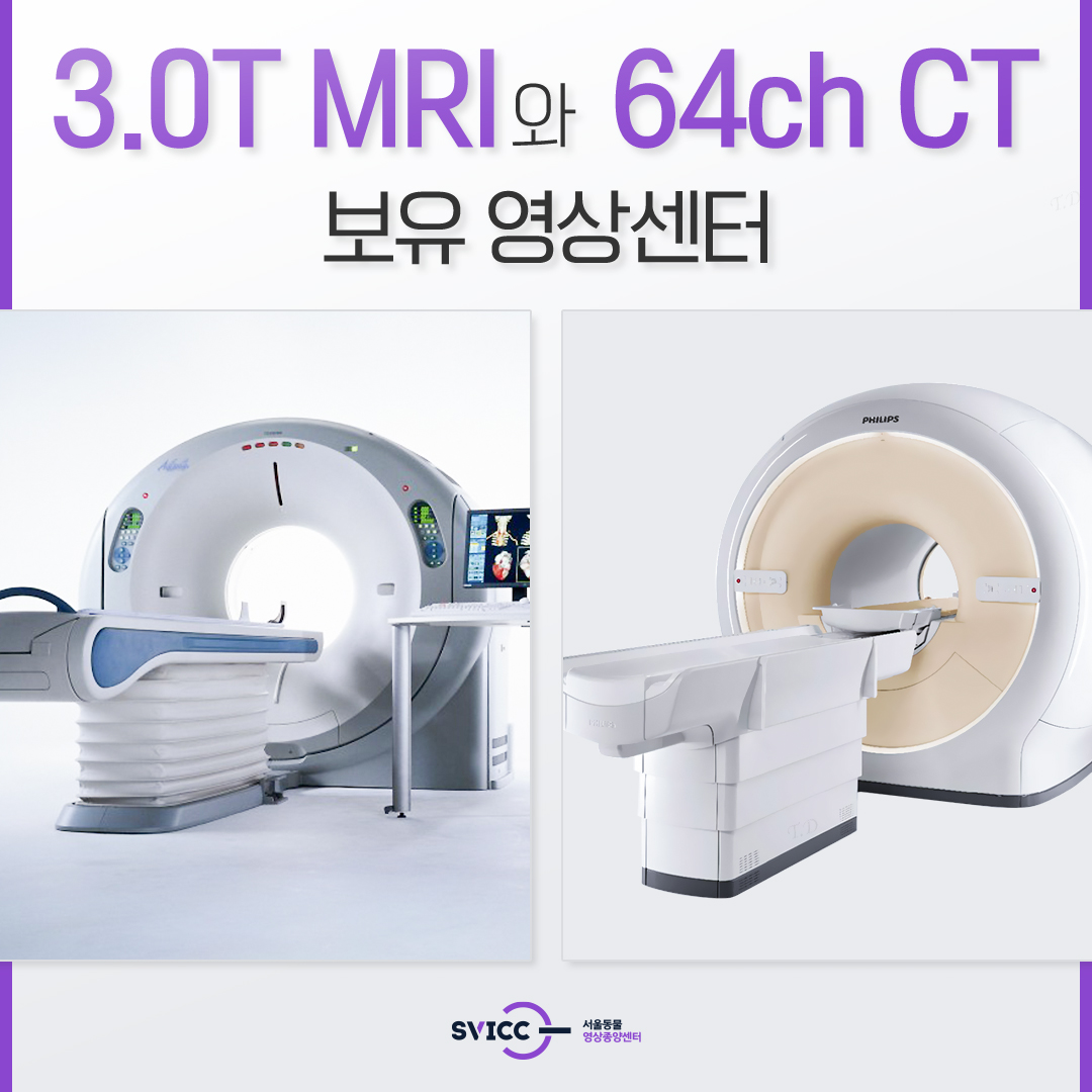 서울동물영상종양센터 대표 이미지