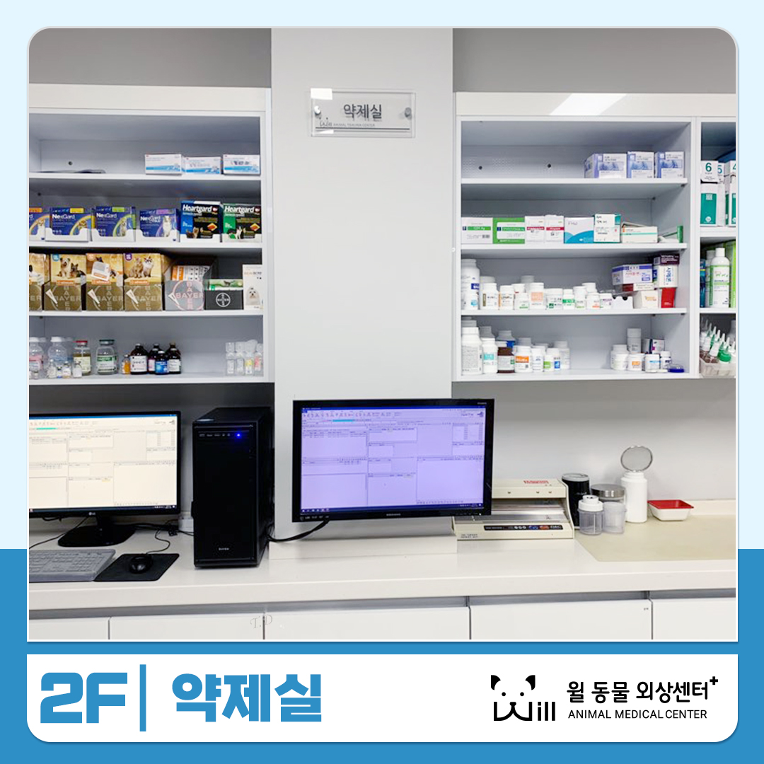 윌 동물외상센터 대표 이미지