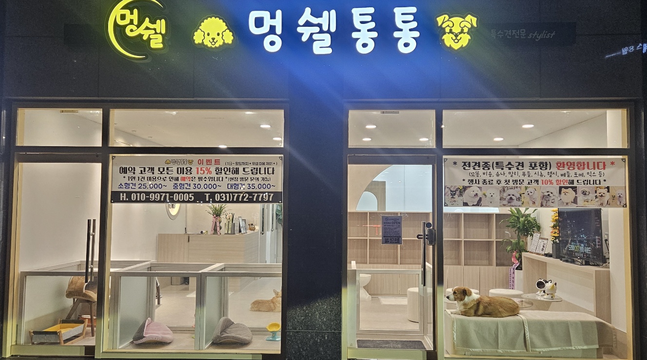 멍쉘통통 대표 이미지