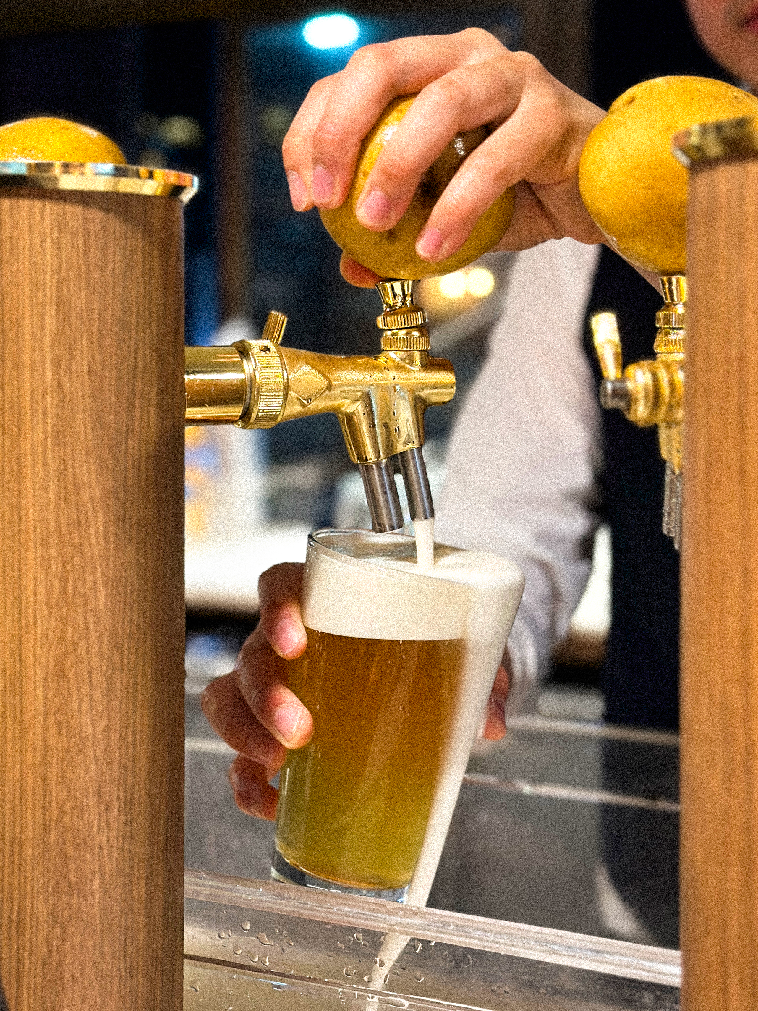 감자아일랜드 춘천