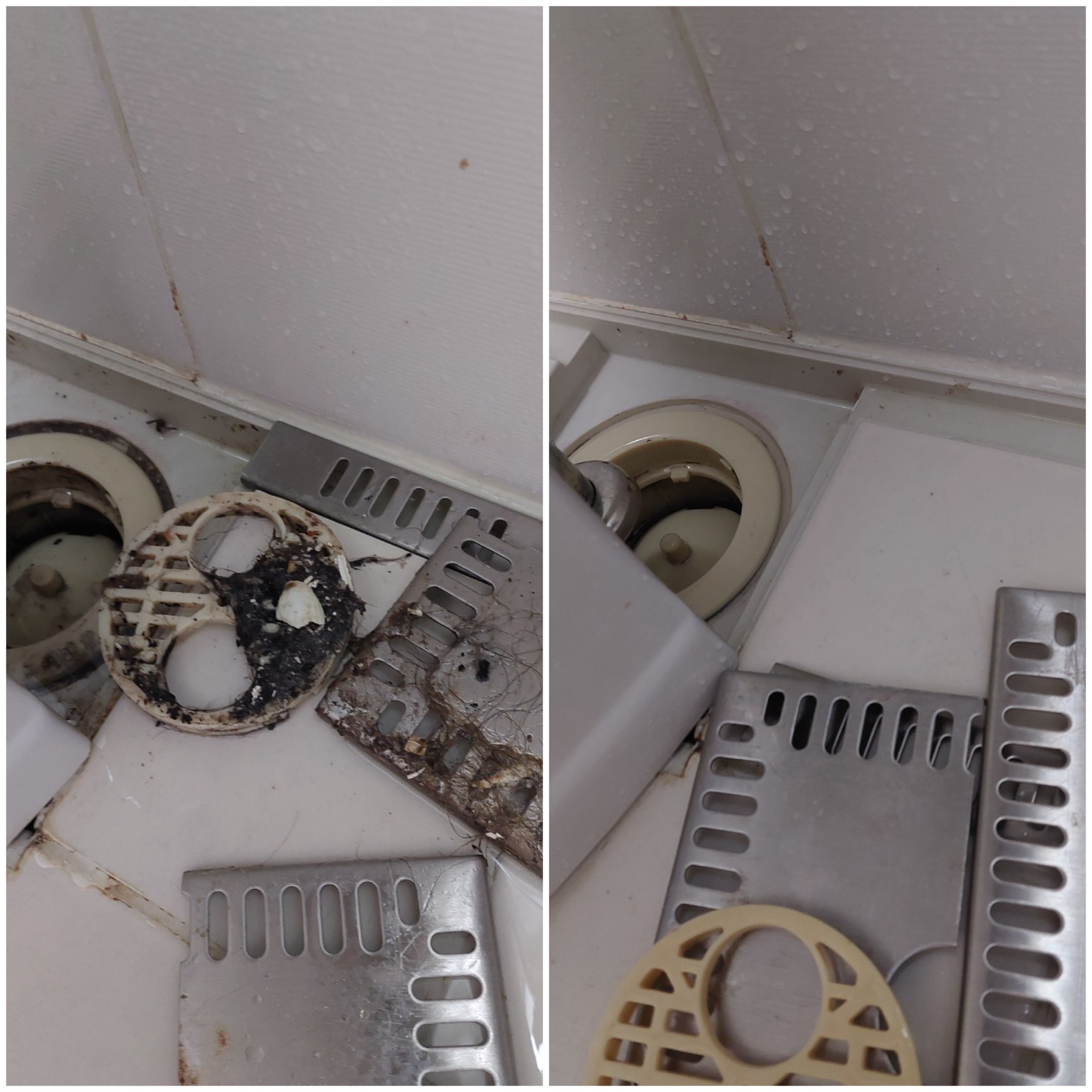 더그린클린 대표 이미지